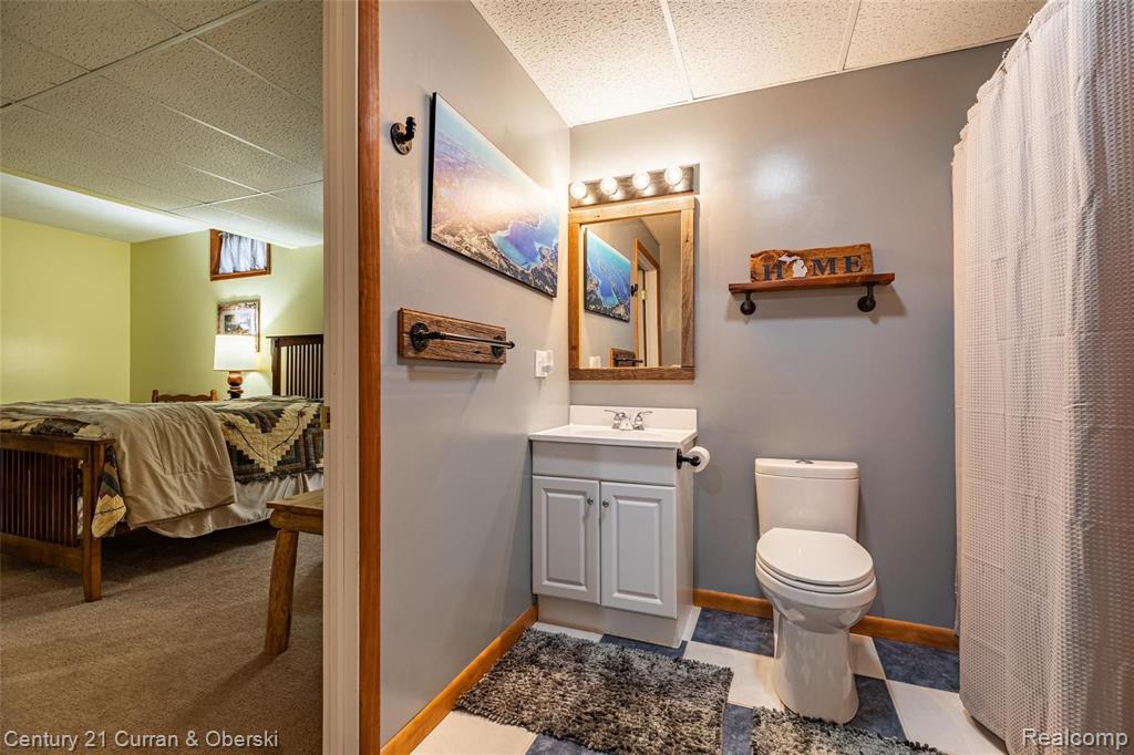 16920 Heim Road Chelsea, MI 48118 - Photo 27 of 48