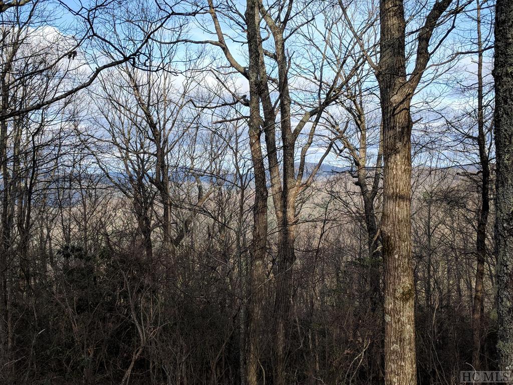Lot 46 Falcon Ridge Road Sapphire, NC 28774 - Photo 1 of 1 Gallery Image 1