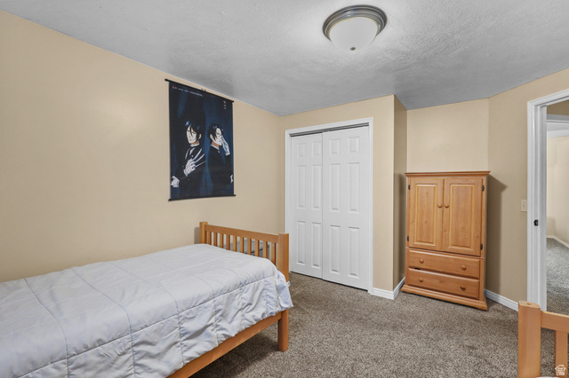 832 East Cedarview Street Tooele, UT 84074 - Photo 36 of 67