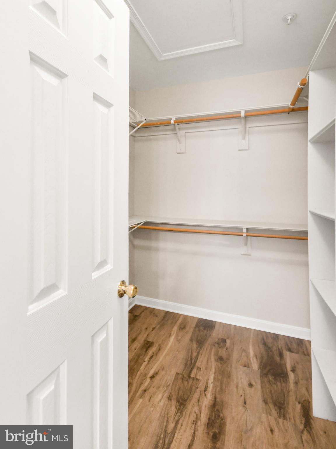 1507 Rambling Way South Frederick, MD 21701 - Photo 25 of 48 walk in closet