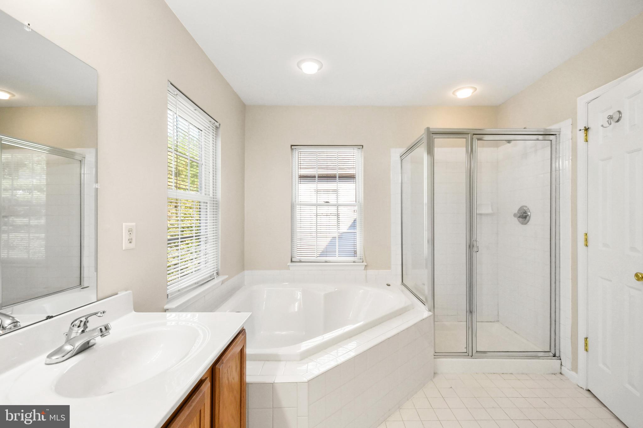 1507 Rambling Way South Frederick, MD 21701 - Photo 30 of 48 soaking tub