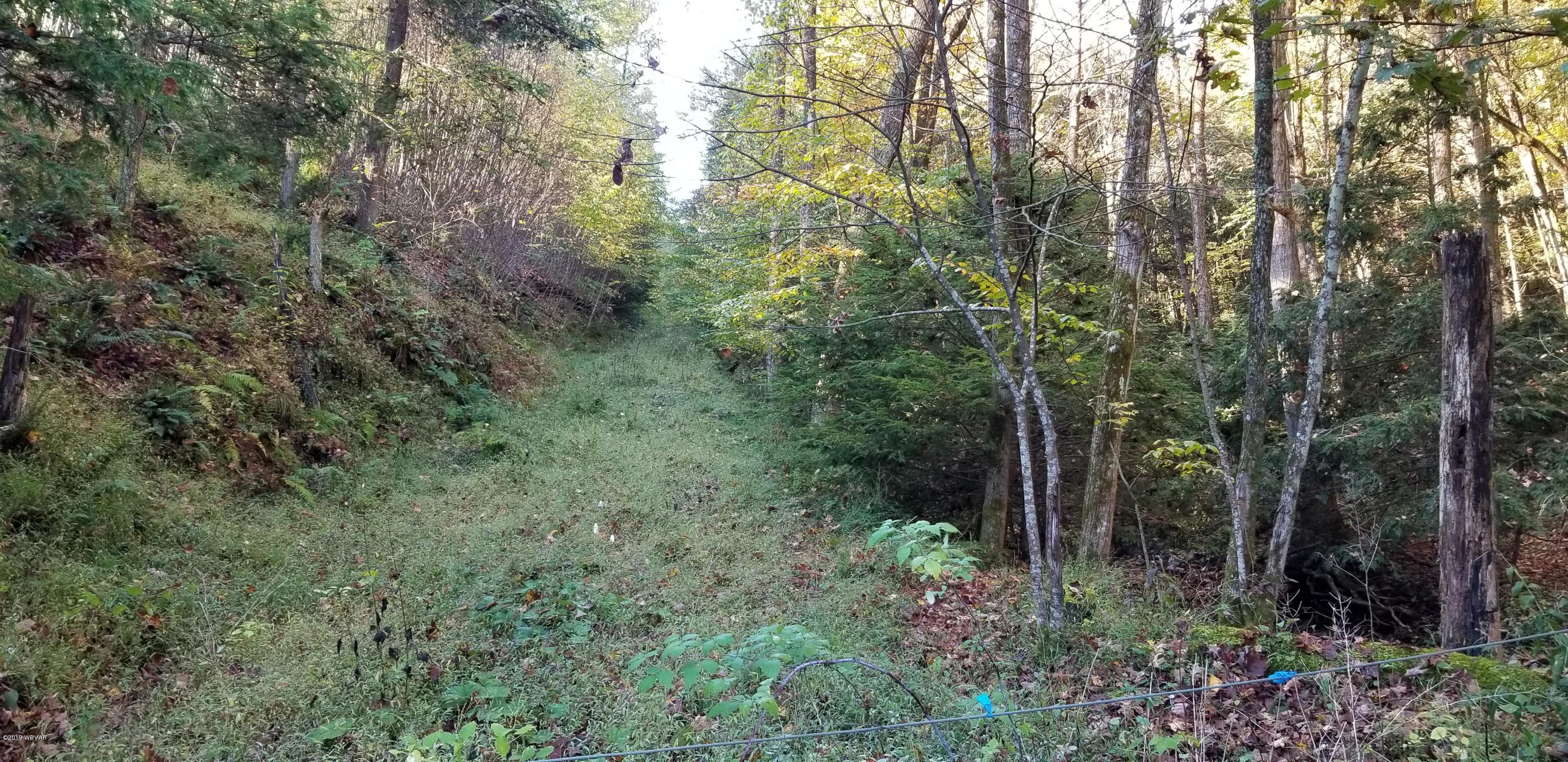 Turkey Bottom Road Road Muncy, PA 17756 - Photo 21 of 21 20191005_085736