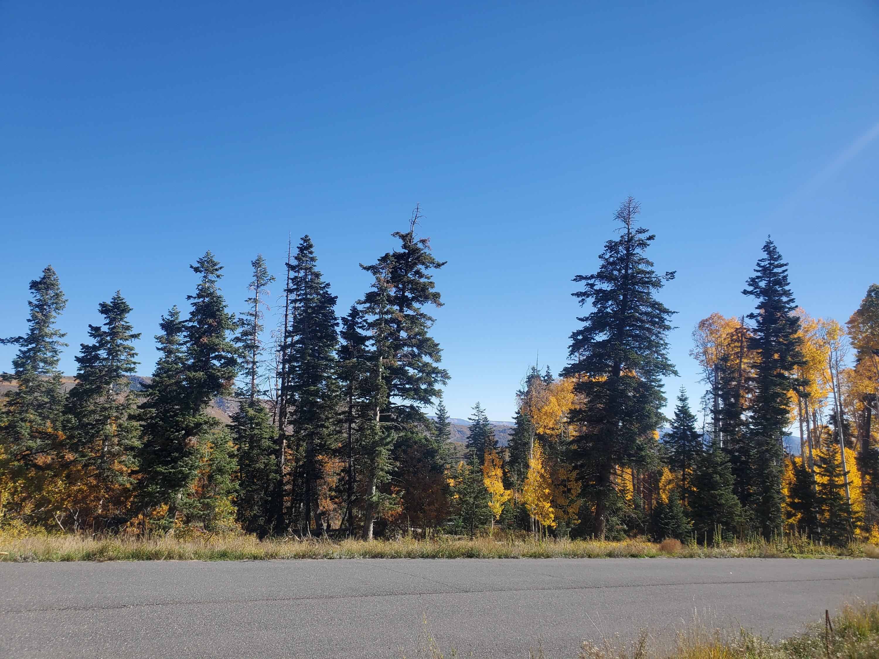 Kolob Ter Road Springdale, UT 84767 - Photo 6 of 11 20221014_101054