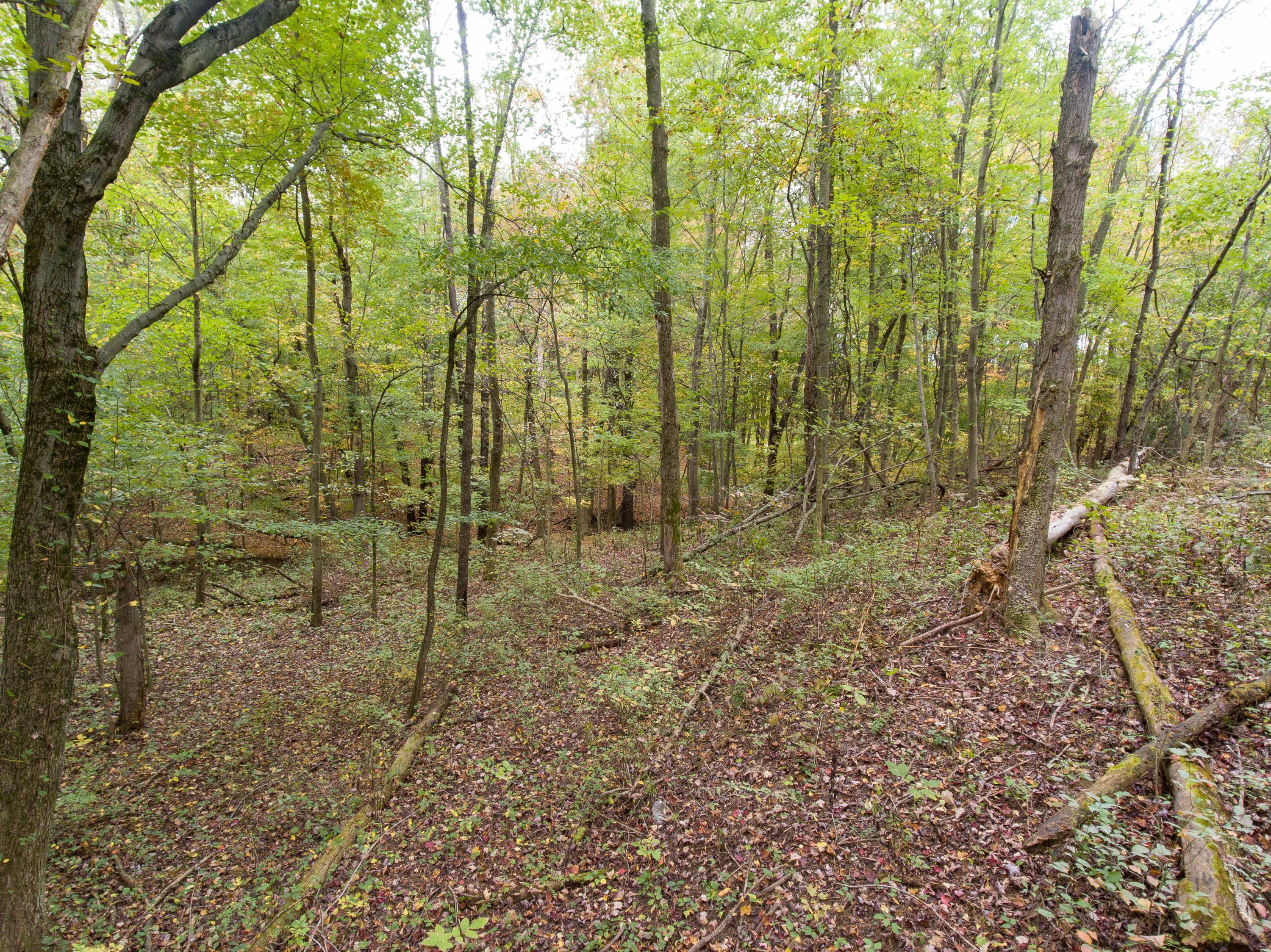 0 Sherman Road Galena, OH 43021 - Photo 12 of 20 Gallery Image 12