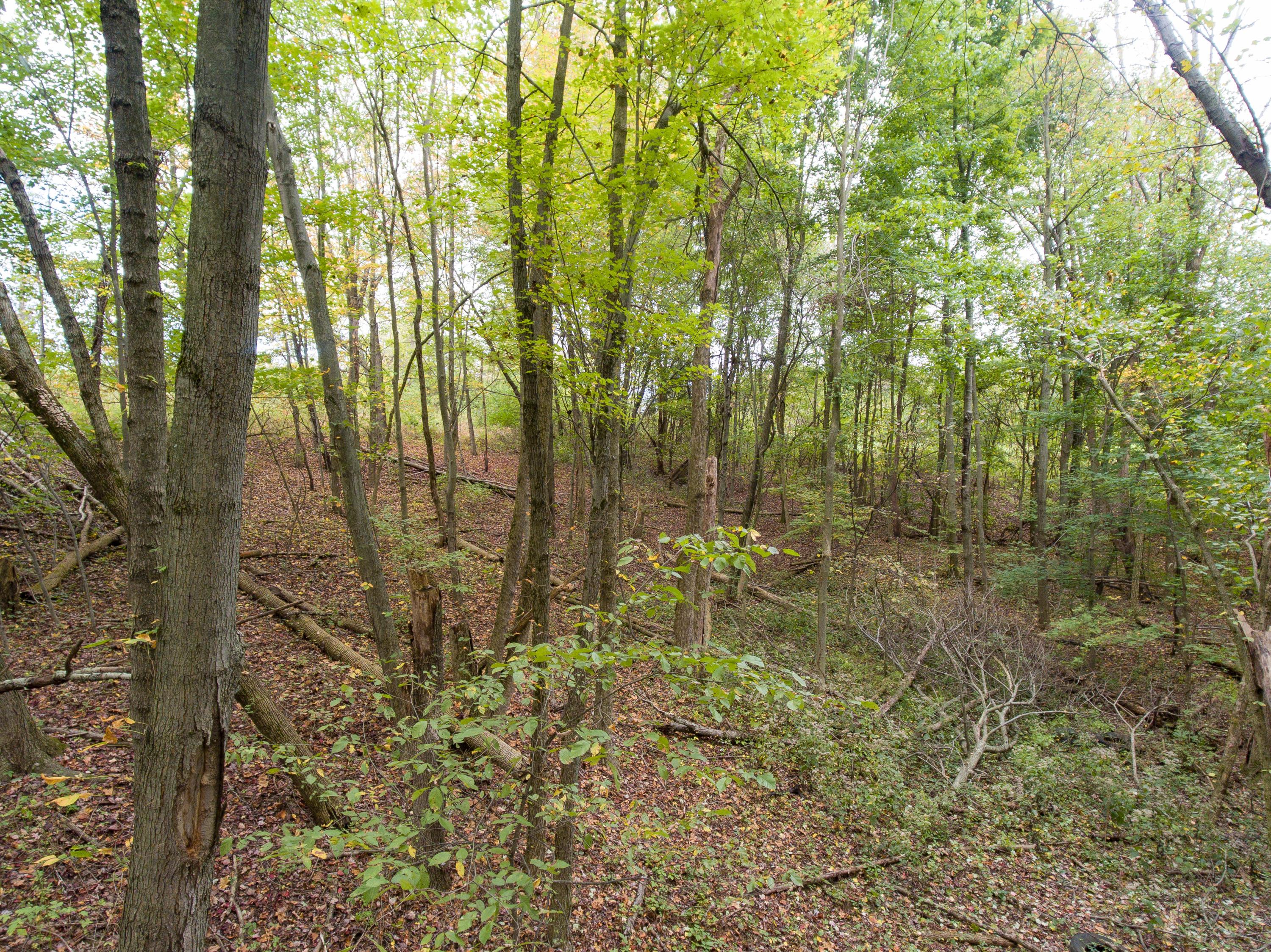 0 Sherman Road Galena, OH 43021 - Photo 13 of 20 Gallery Image 13