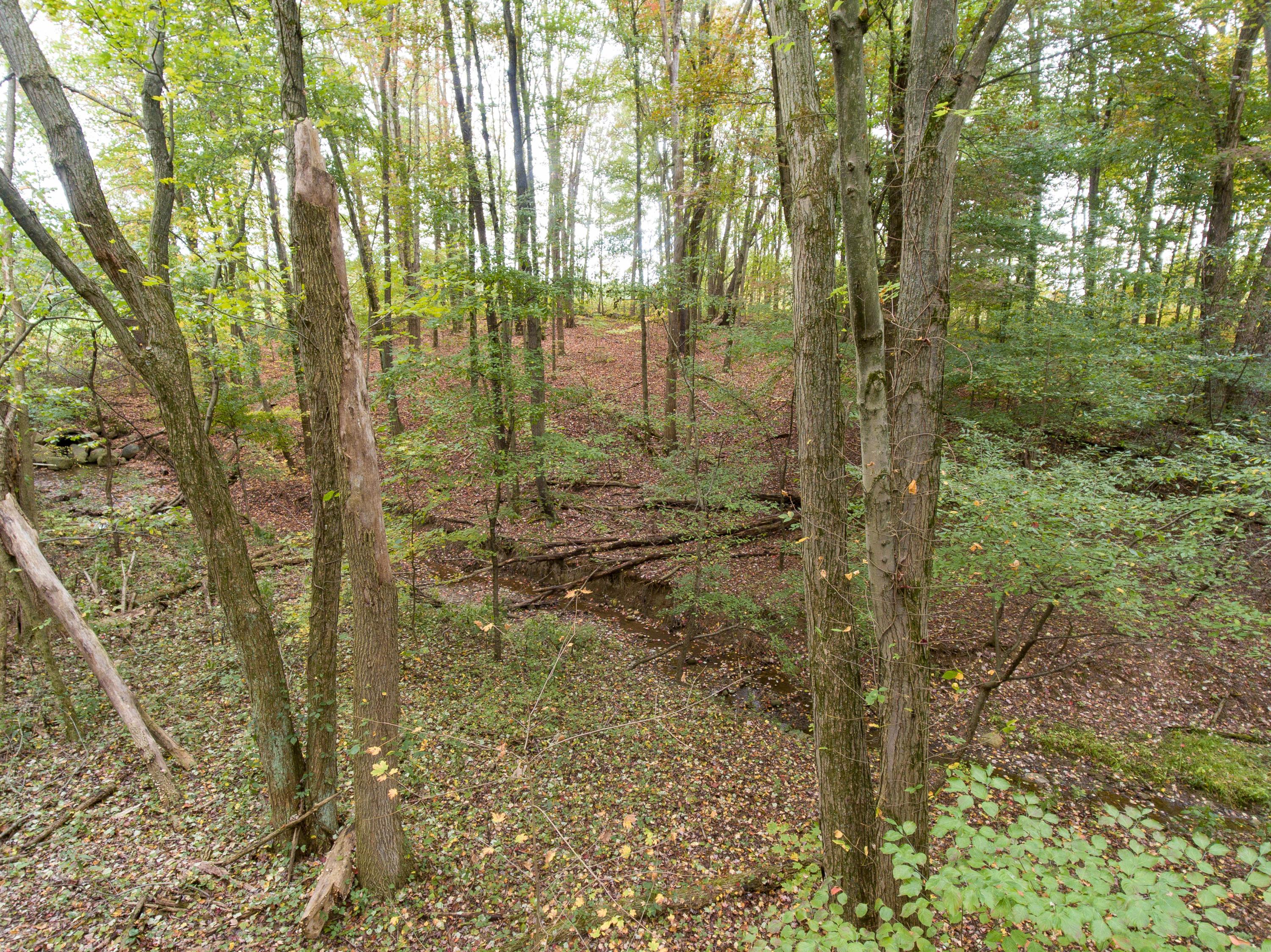 0 Sherman Road Galena, OH 43021 - Photo 14 of 20 Gallery Image 14