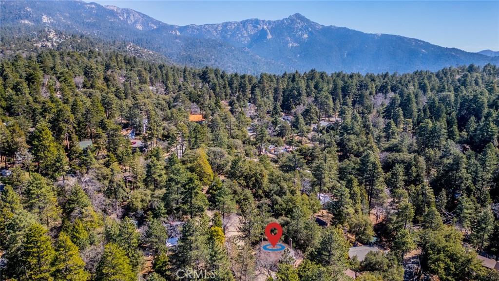 52647 Pine Cove Road Idyllwild, CA 92549 - Photo 35 of 35 a view of a and mountain in a forest