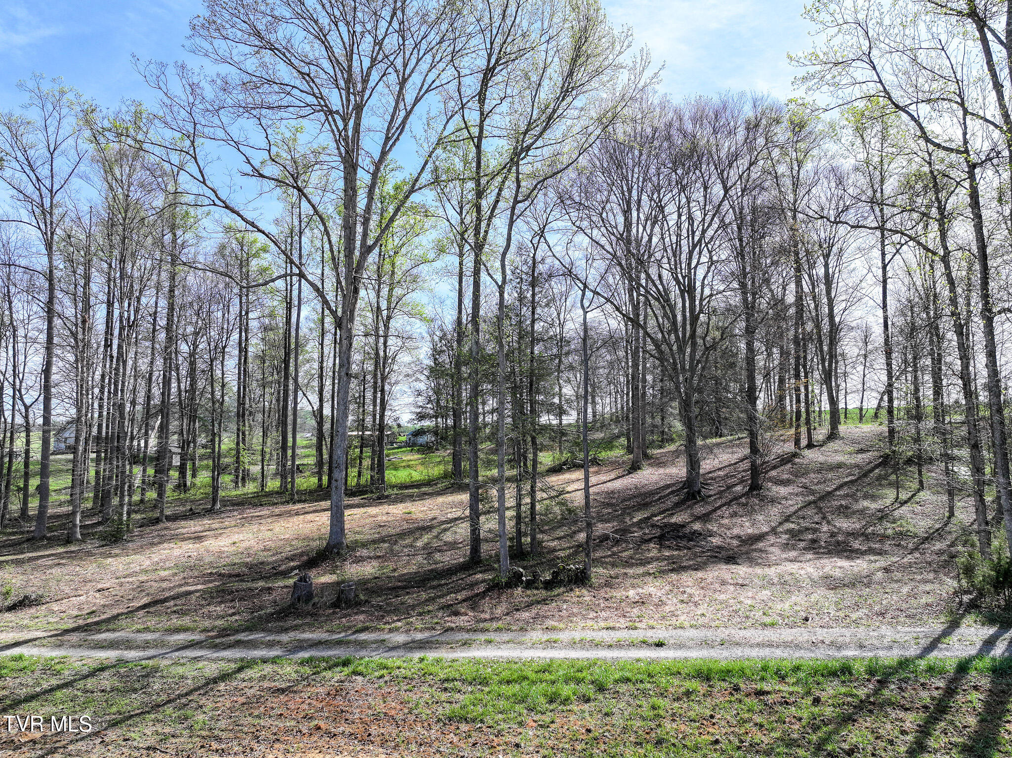 190 Treadway Road Chuckey, TN 37641 - Photo 28 of 34 DJI_20260406094330_0406_D