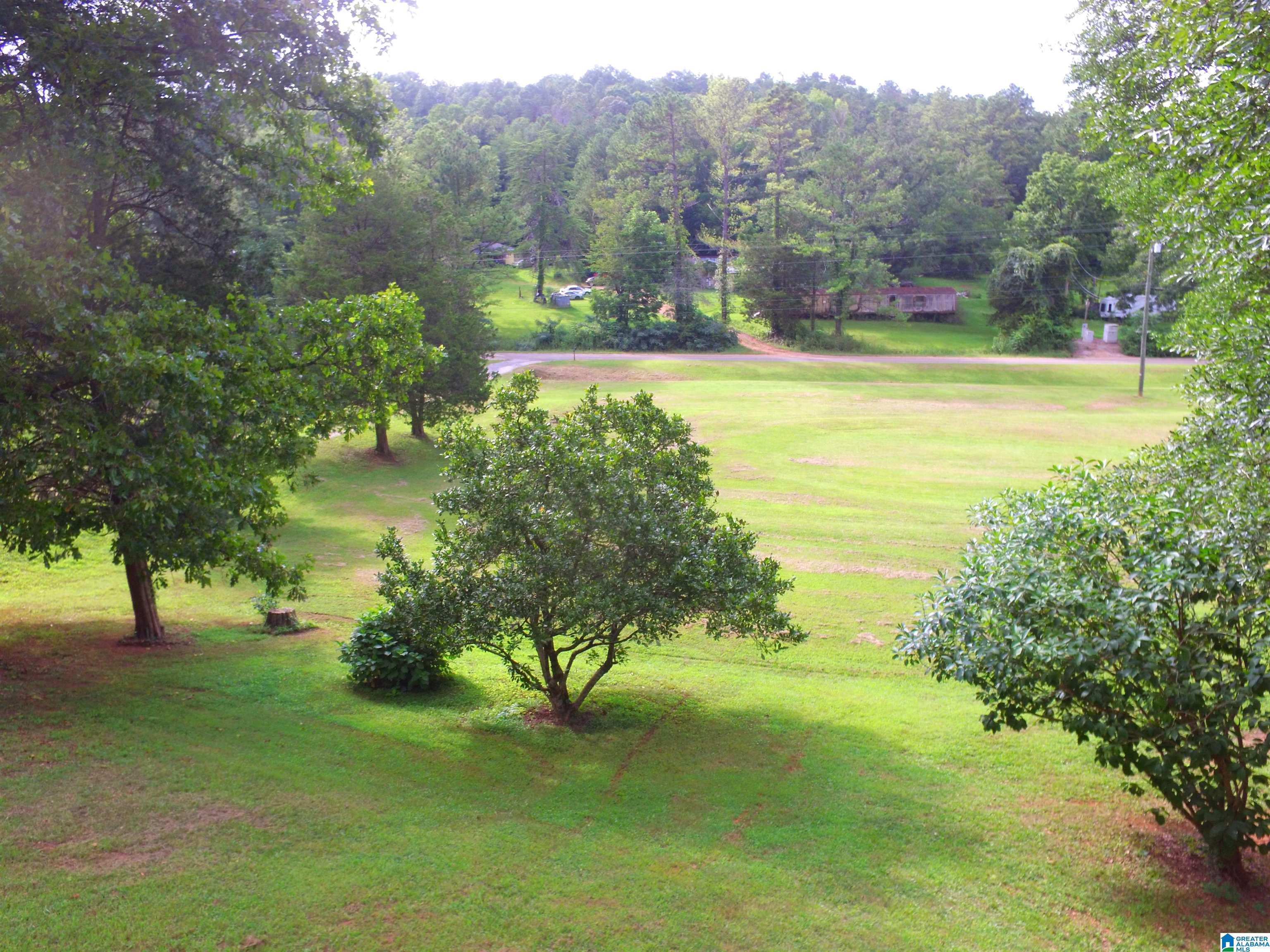 4041 Allison Mill Road Talladega, AL 35160 - Photo 5 of 53