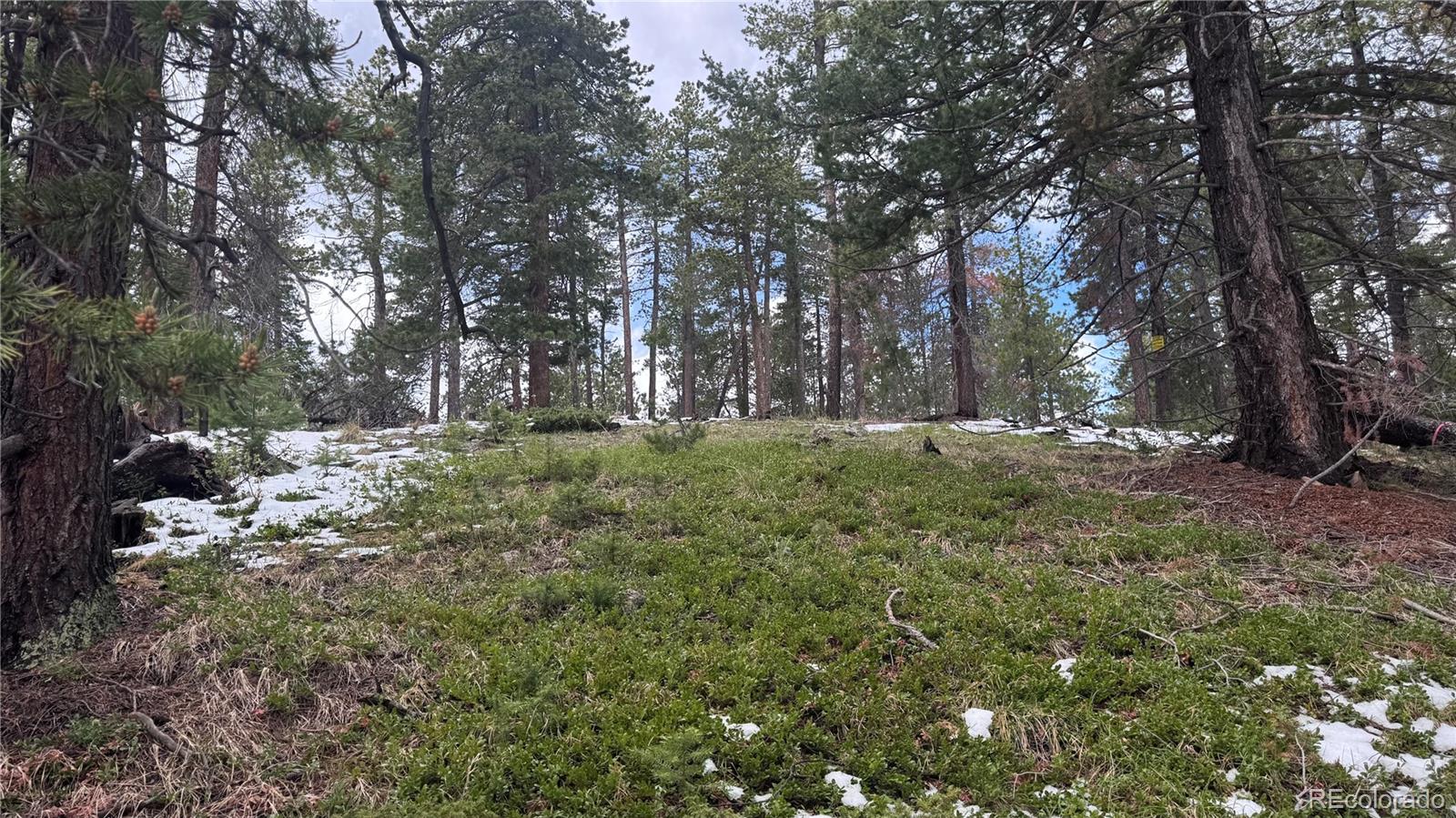 717 Crescent Lake Road Golden, CO 80403 - Photo 16 of 27