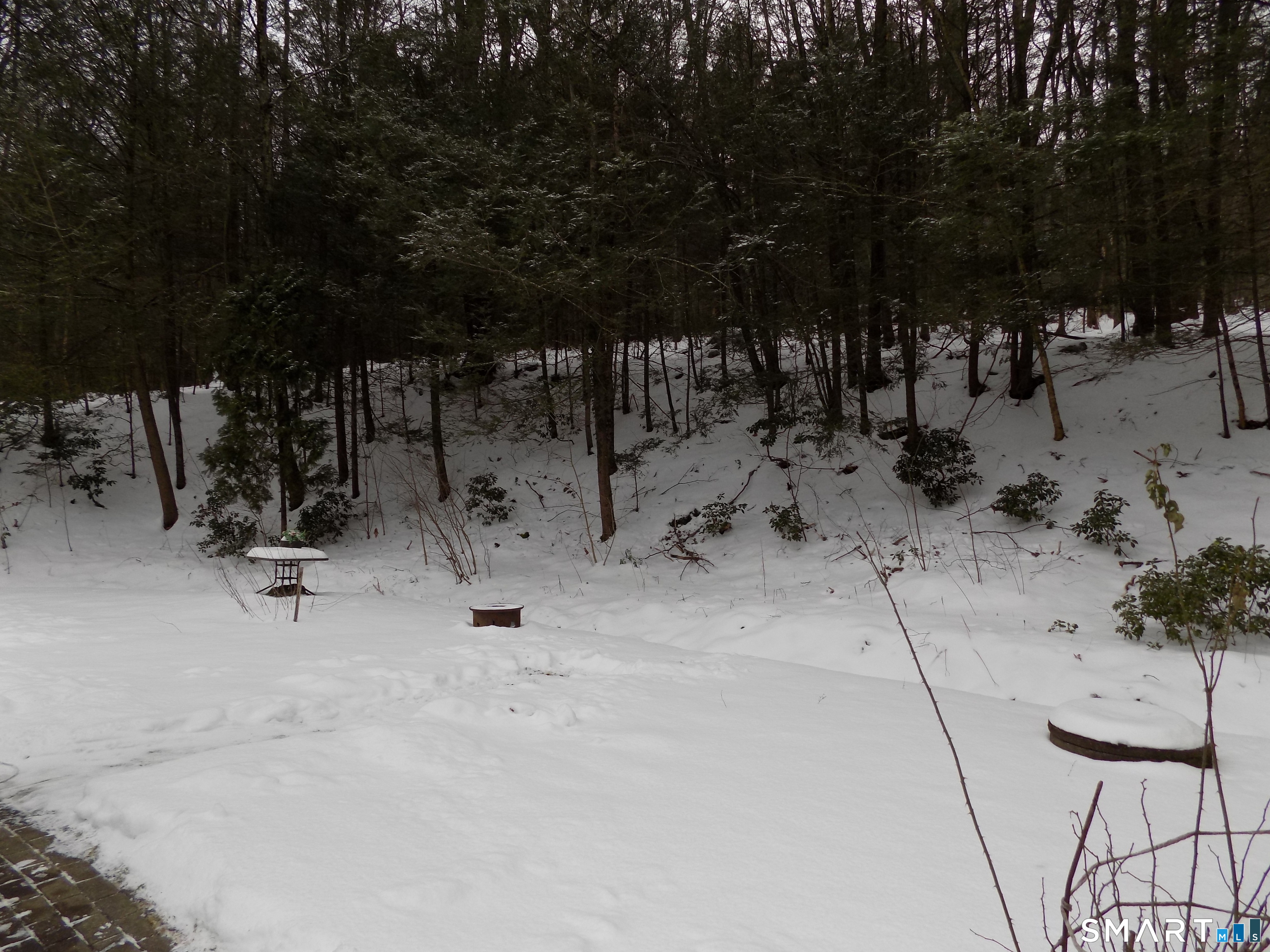 309 New Hartford Road Barkhamsted, CT 06063 - Photo 16 of 16 a view of hen and trees