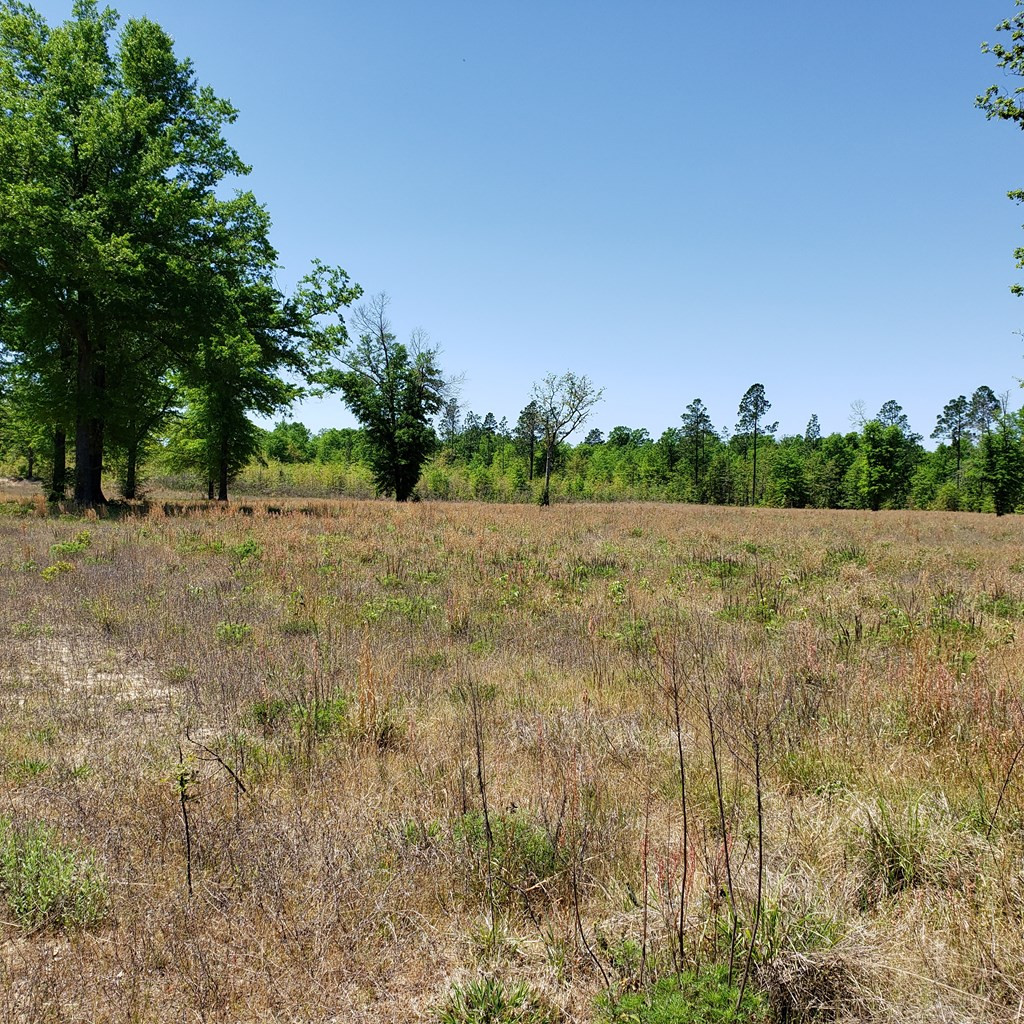 1604 Oak Ridge Club Road Windsor, SC 29856 - Photo 5 of 6