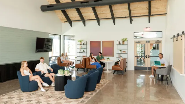 a living room with furniture and a potted plant