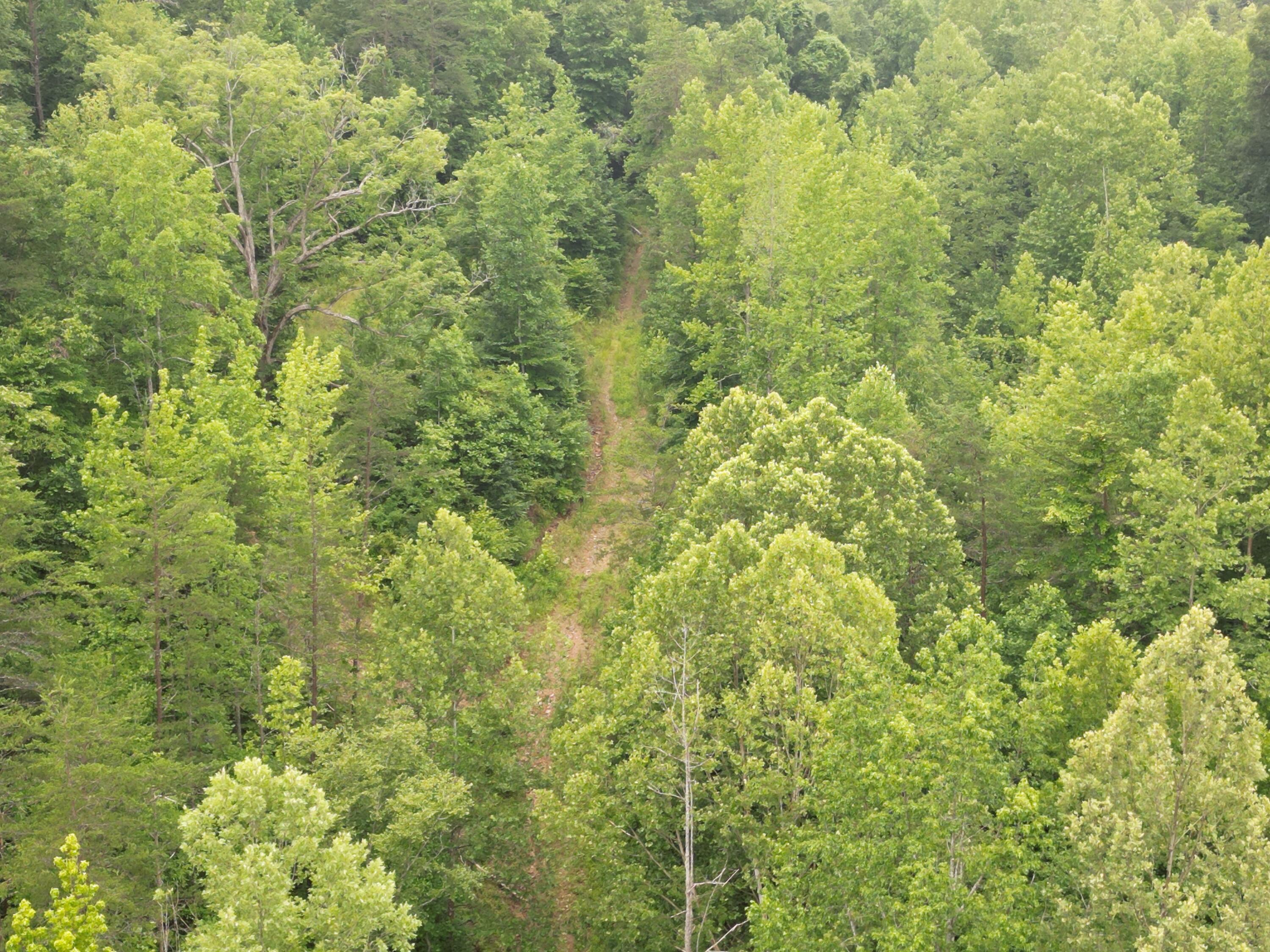 9991 Big Wildcat Road Manchester, KY 40962 - Photo 12 of 19 DJI_0131