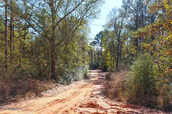 $46,500 | Tamchelle Road, Lumberton, MS 39455