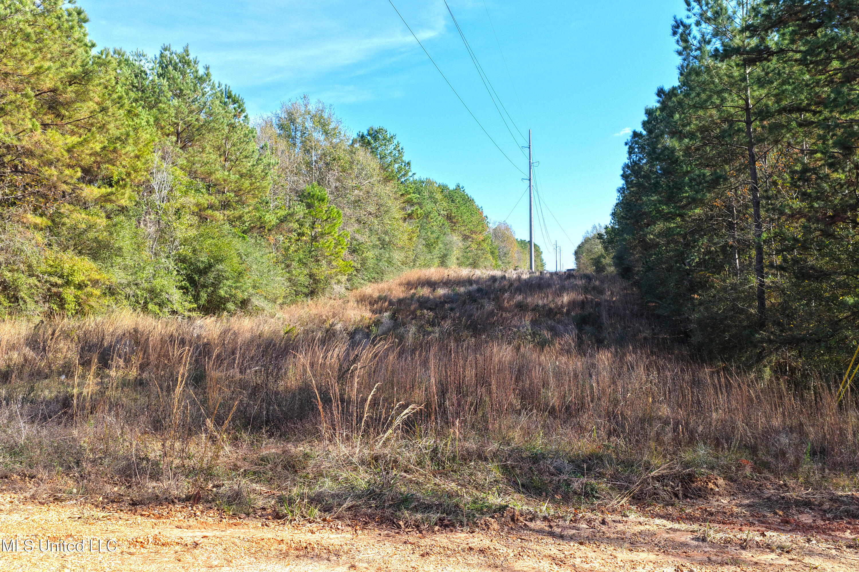 Tamchelle Road Lumberton, MS 39455 - Photo 14 of 14 DJI_20251210125203_0047_DAs is