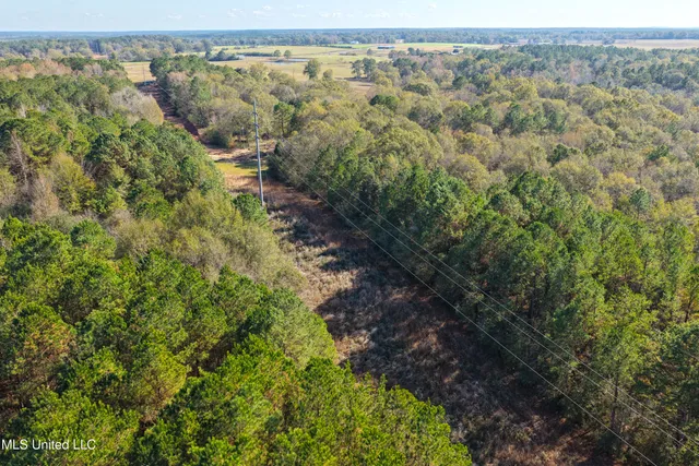 $49,900 | Tamchelle Road, Lumberton, MS 39455
