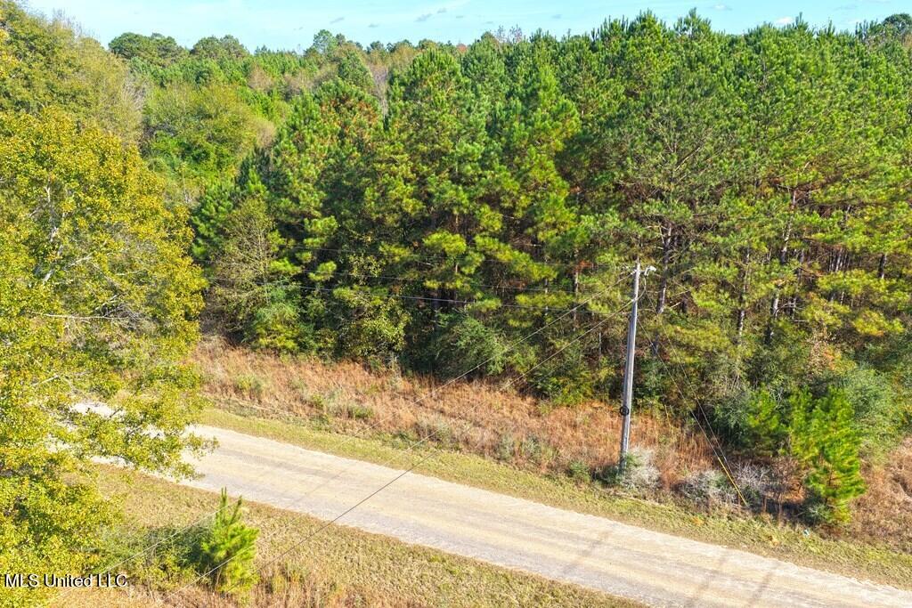 Tamchelle Road Lumberton, MS 39455 - Photo 8 of 14 184232_7
