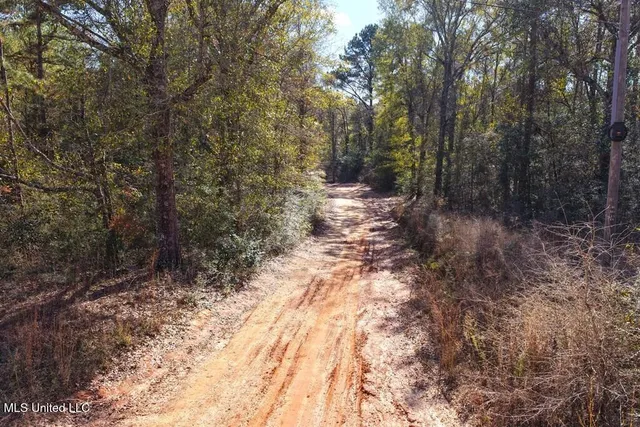 $49,900 | Tamchelle Road, Lumberton, MS 39455