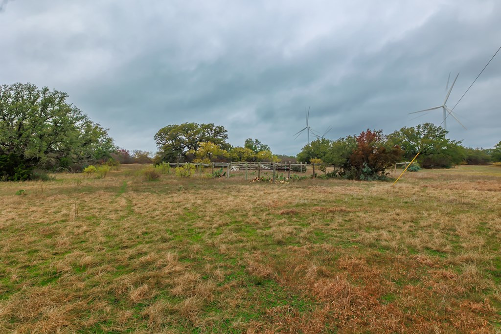 1755 County Road Brady, TX 76825 - Photo 6 of 28 Photo 6
