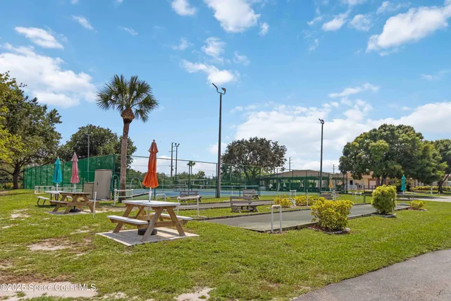 a view of a park with large trees