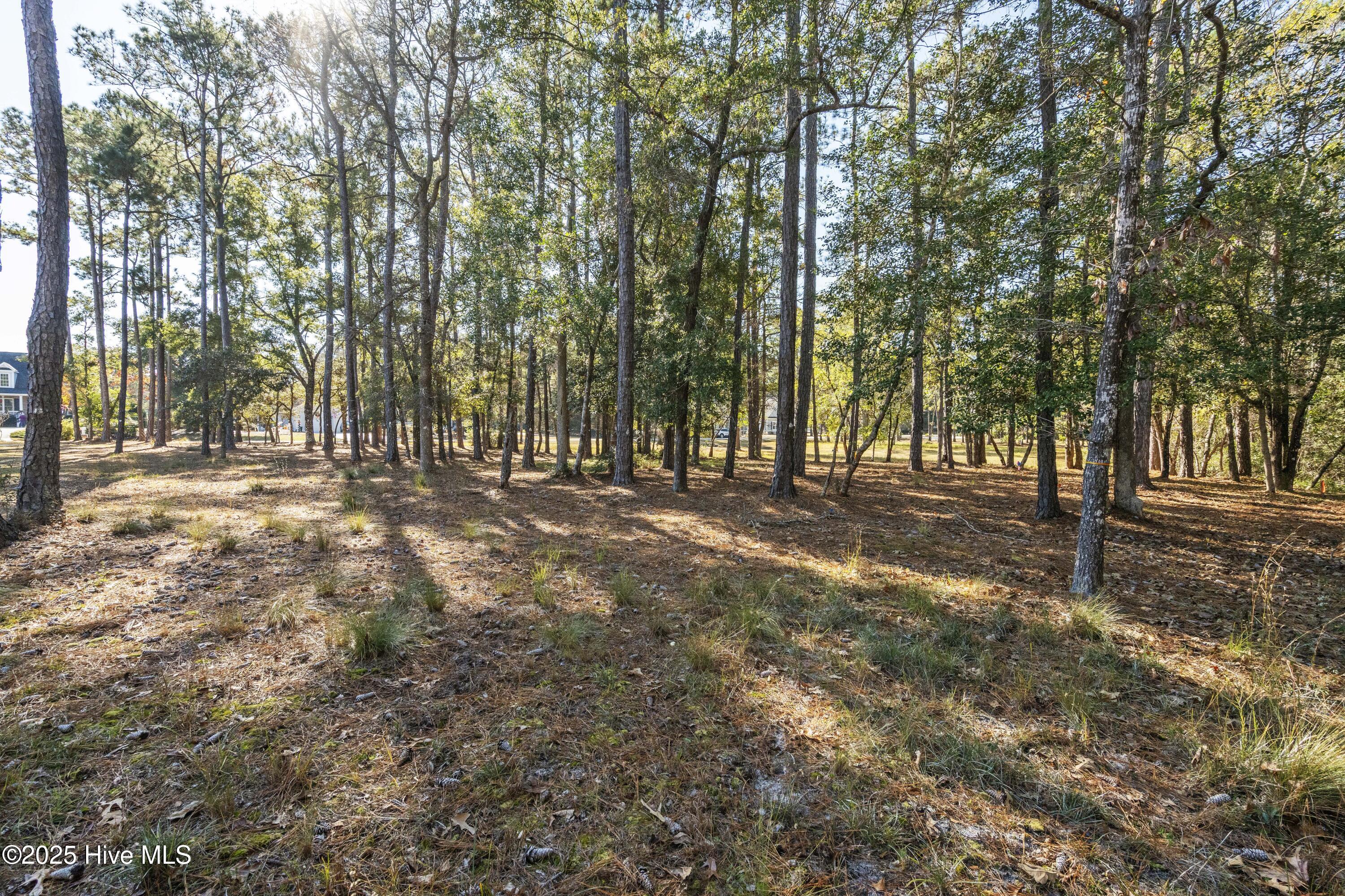 342 Genoe's Point Road Southwest Supply, NC 28462 - Photo 17 of 38 DSC01560