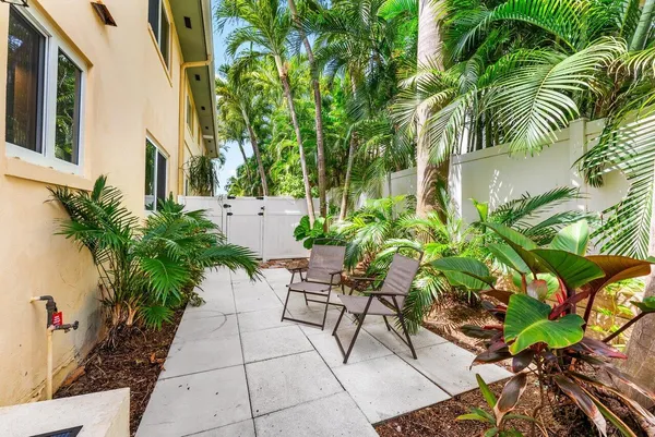 a view of a pathway with plants