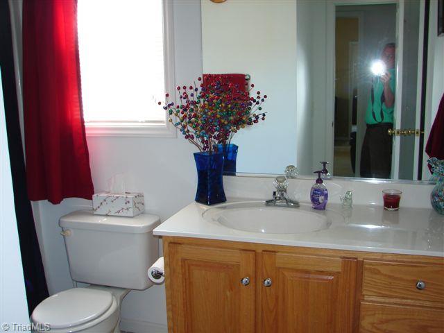 3874 Young Road Asheboro, NC 27205 - Photo 21 of 22 Hall Bathroom.