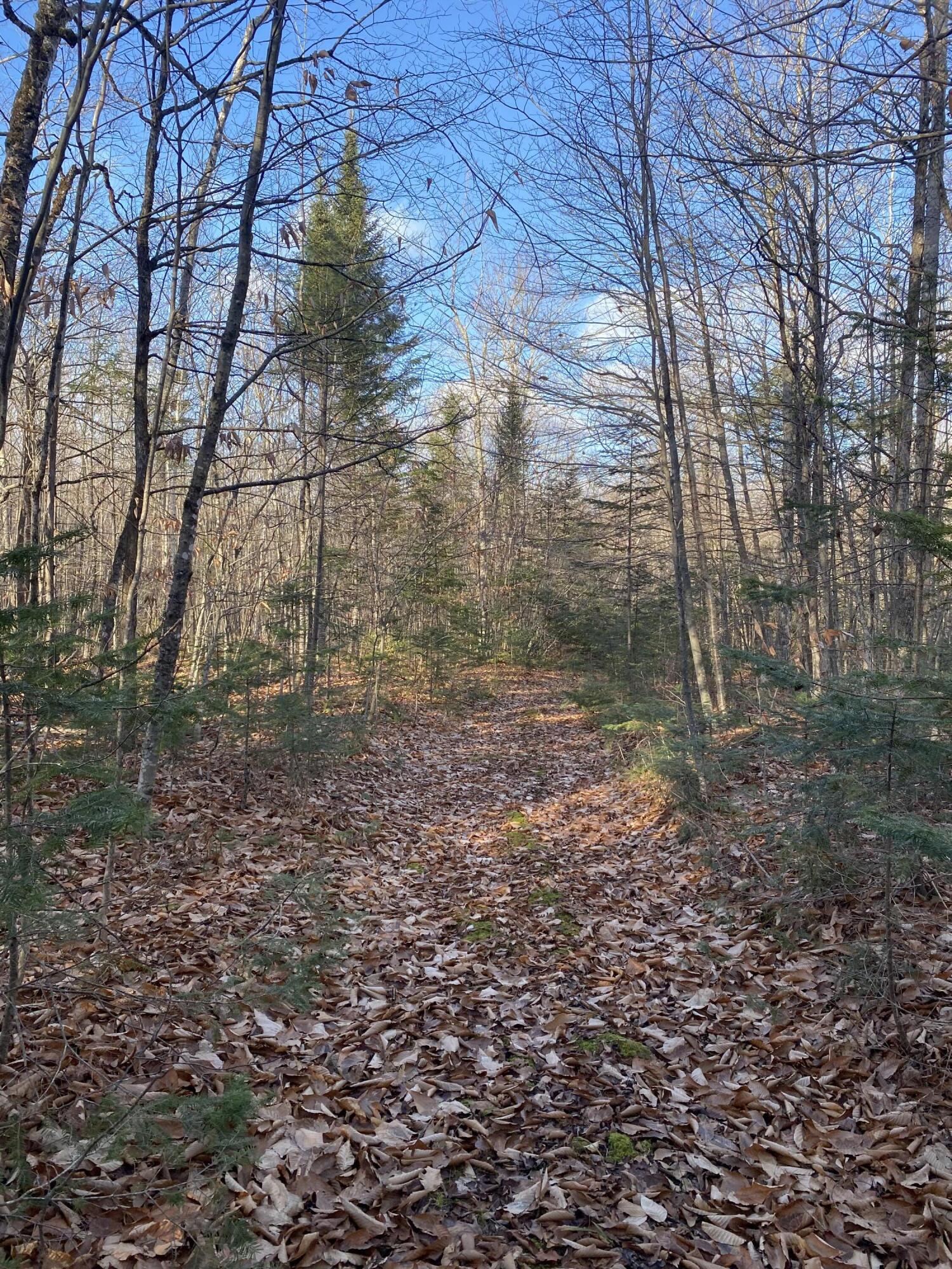 Lot 023 Pleasant Ridge Road Dexter, ME 04930 - Photo 7 of 7 IMG_8526