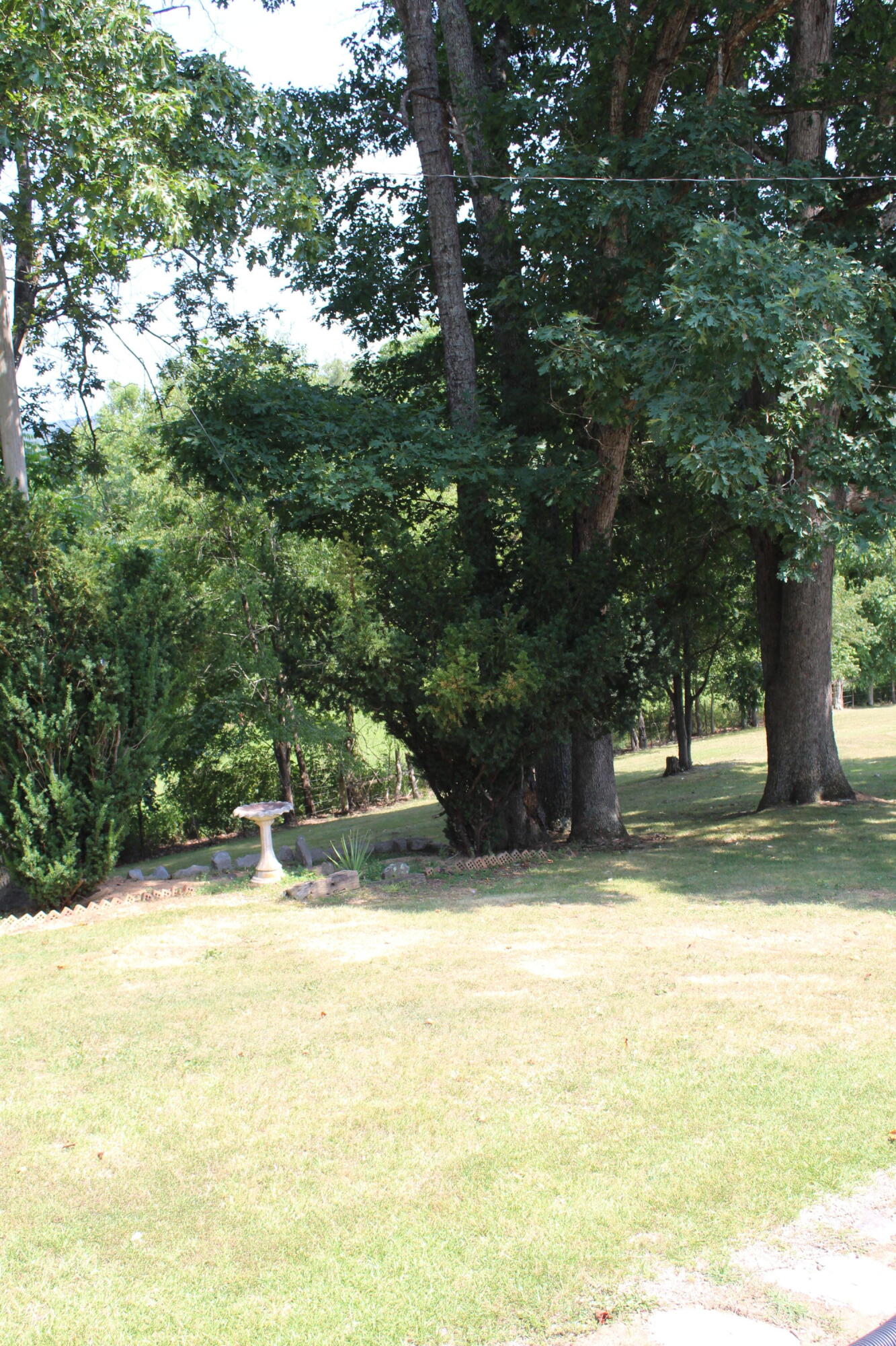 317 Bill Cope Road Jonesville, VA 24263 - Photo 23 of 52 IMG_3255