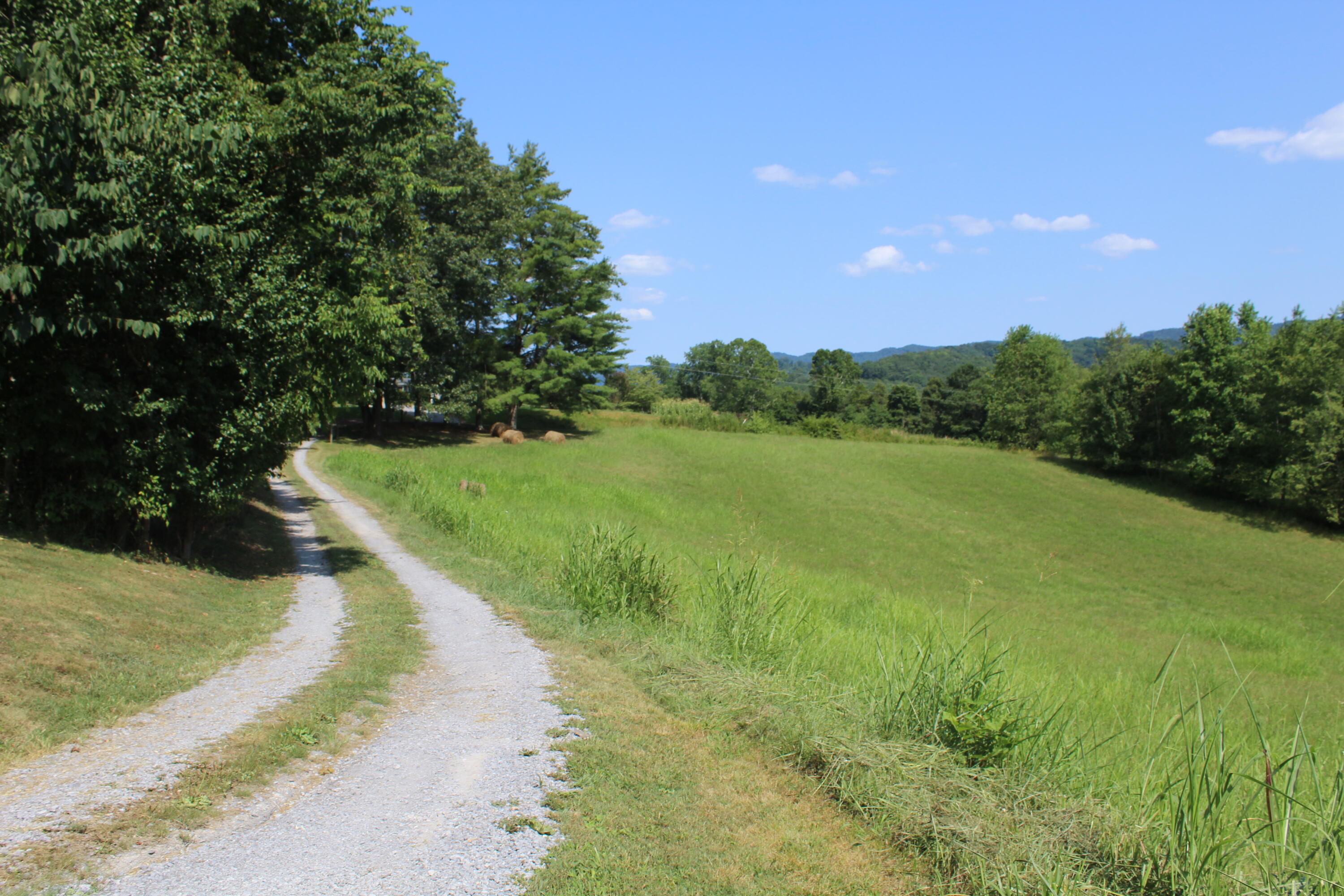 317 Bill Cope Road Jonesville, VA 24263 - Photo 3 of 52 IMG_3297