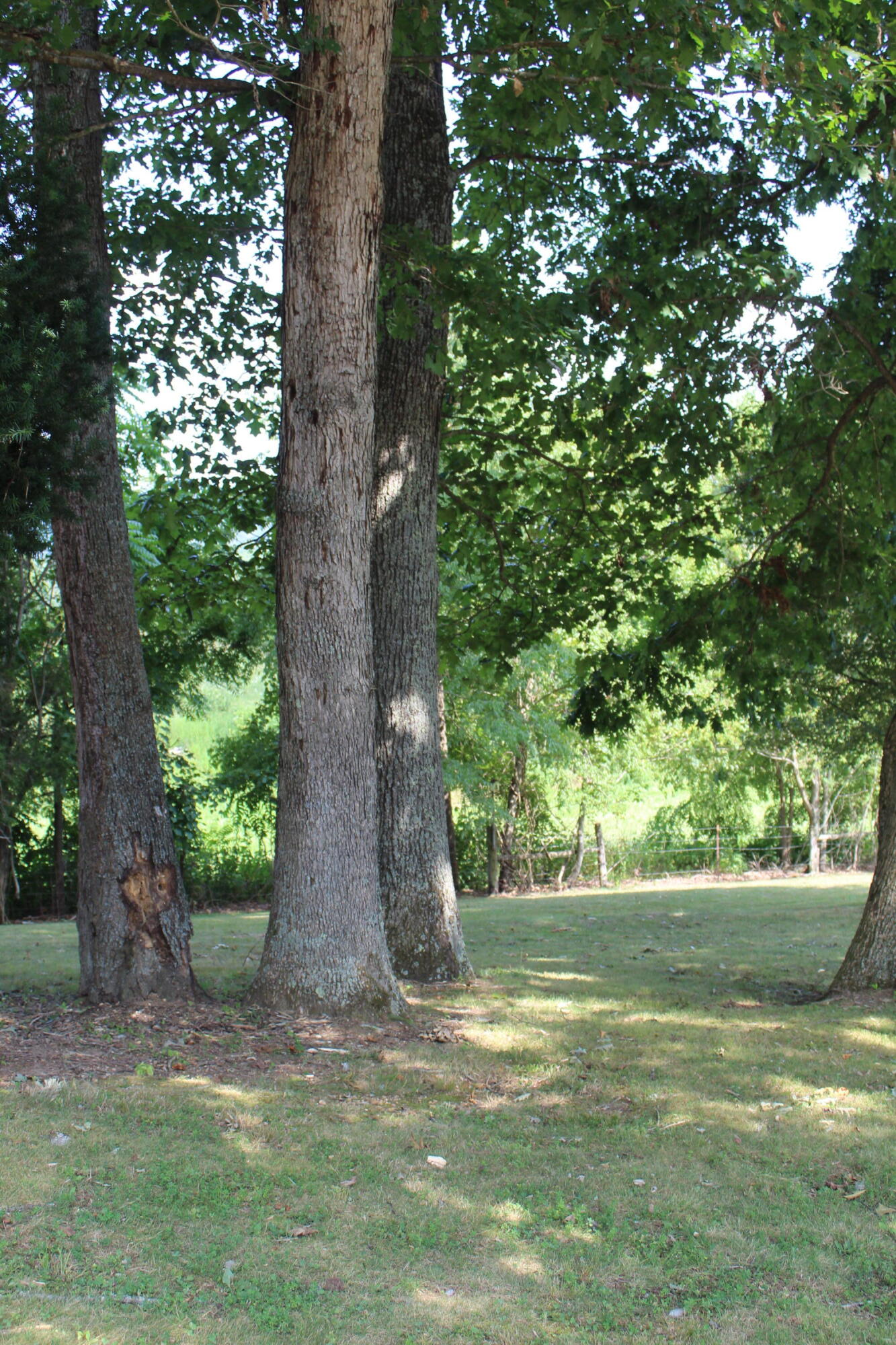 317 Bill Cope Road Jonesville, VA 24263 - Photo 31 of 52 IMG_3273