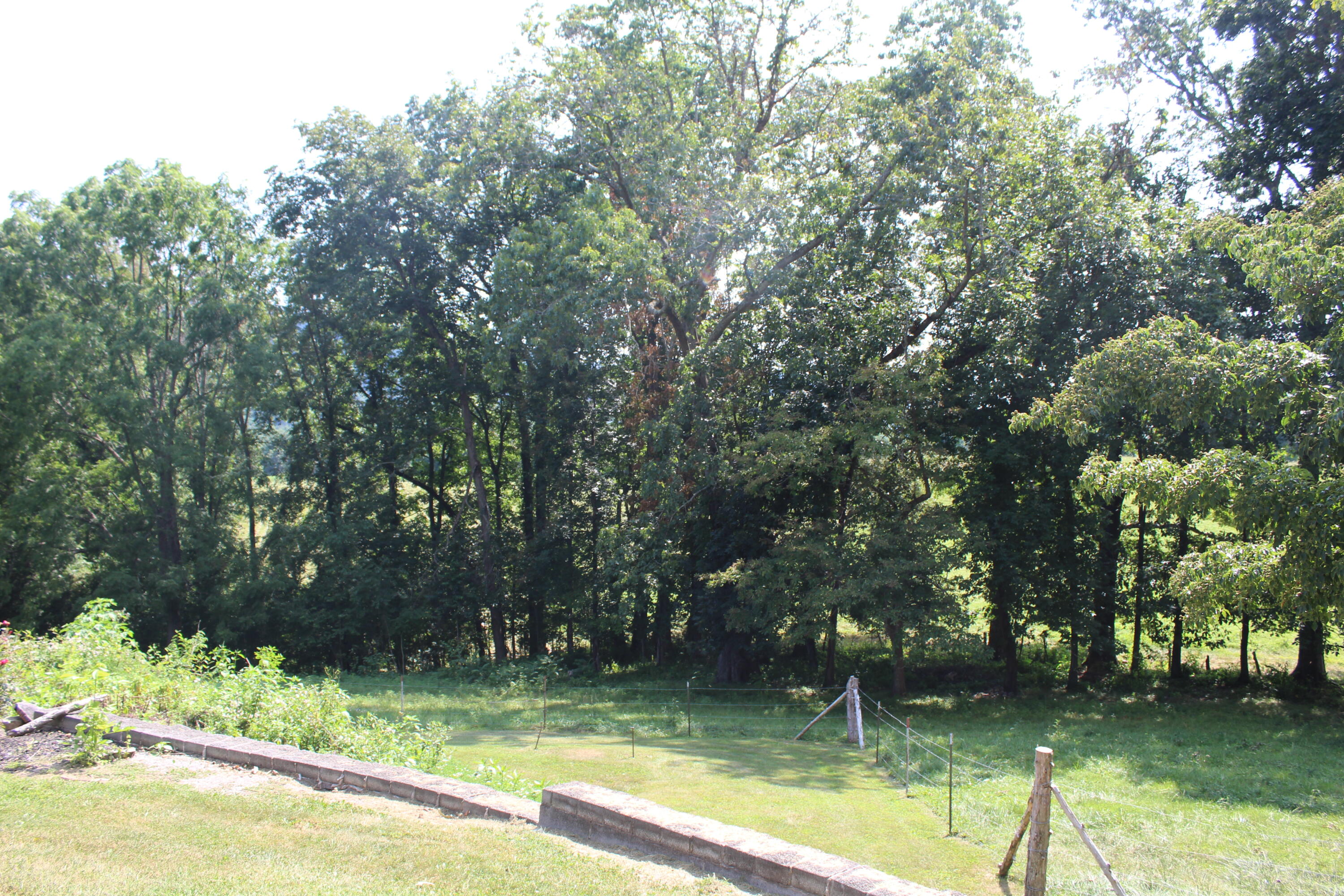 317 Bill Cope Road Jonesville, VA 24263 - Photo 42 of 52 IMG_3287