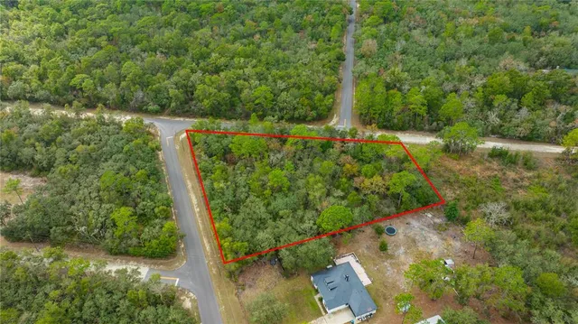 a view of a yard with plants and large trees