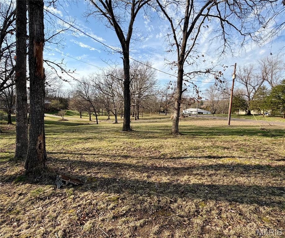 1451 Spring Bluff Road Sullivan, MO 63080 - Photo 50 of 54