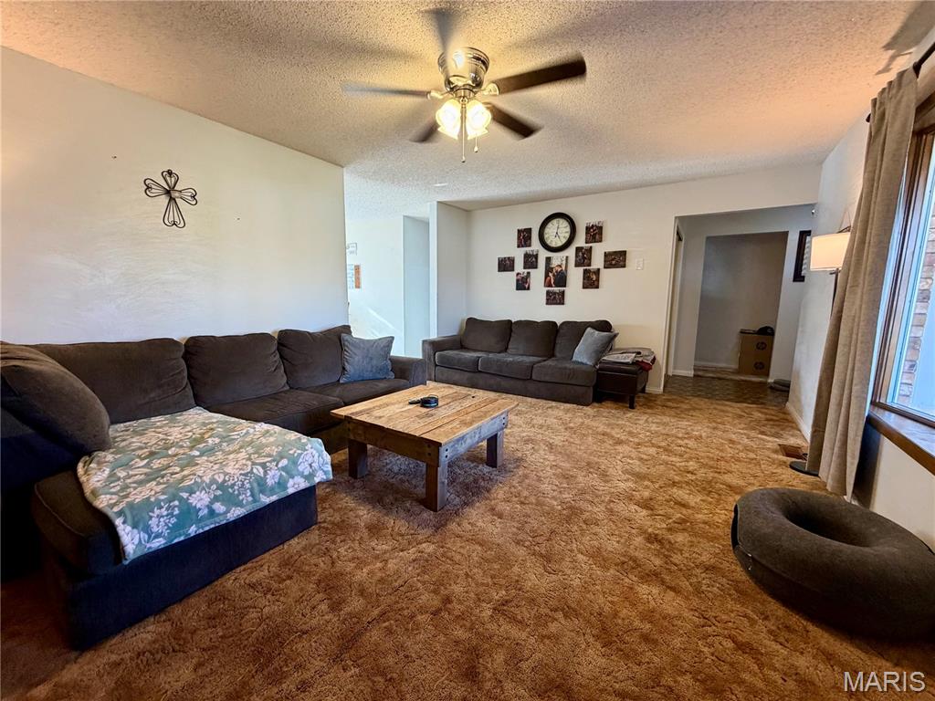 1451 Spring Bluff Road Sullivan, MO 63080 - Photo 5 of 54