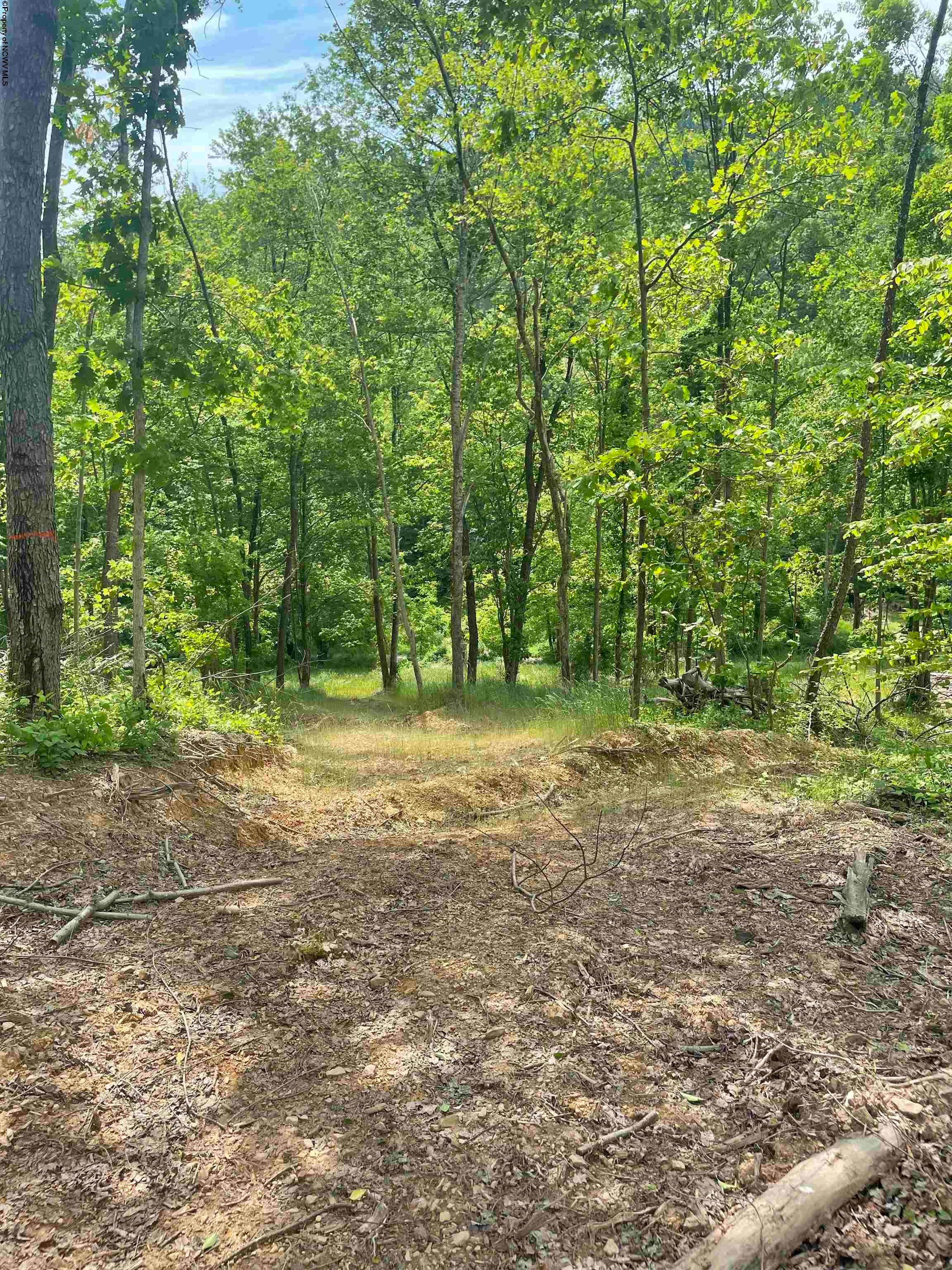 Tbd River Run Road Fairmont, WV 26554 - Photo 1 of 9 Gallery Image 1