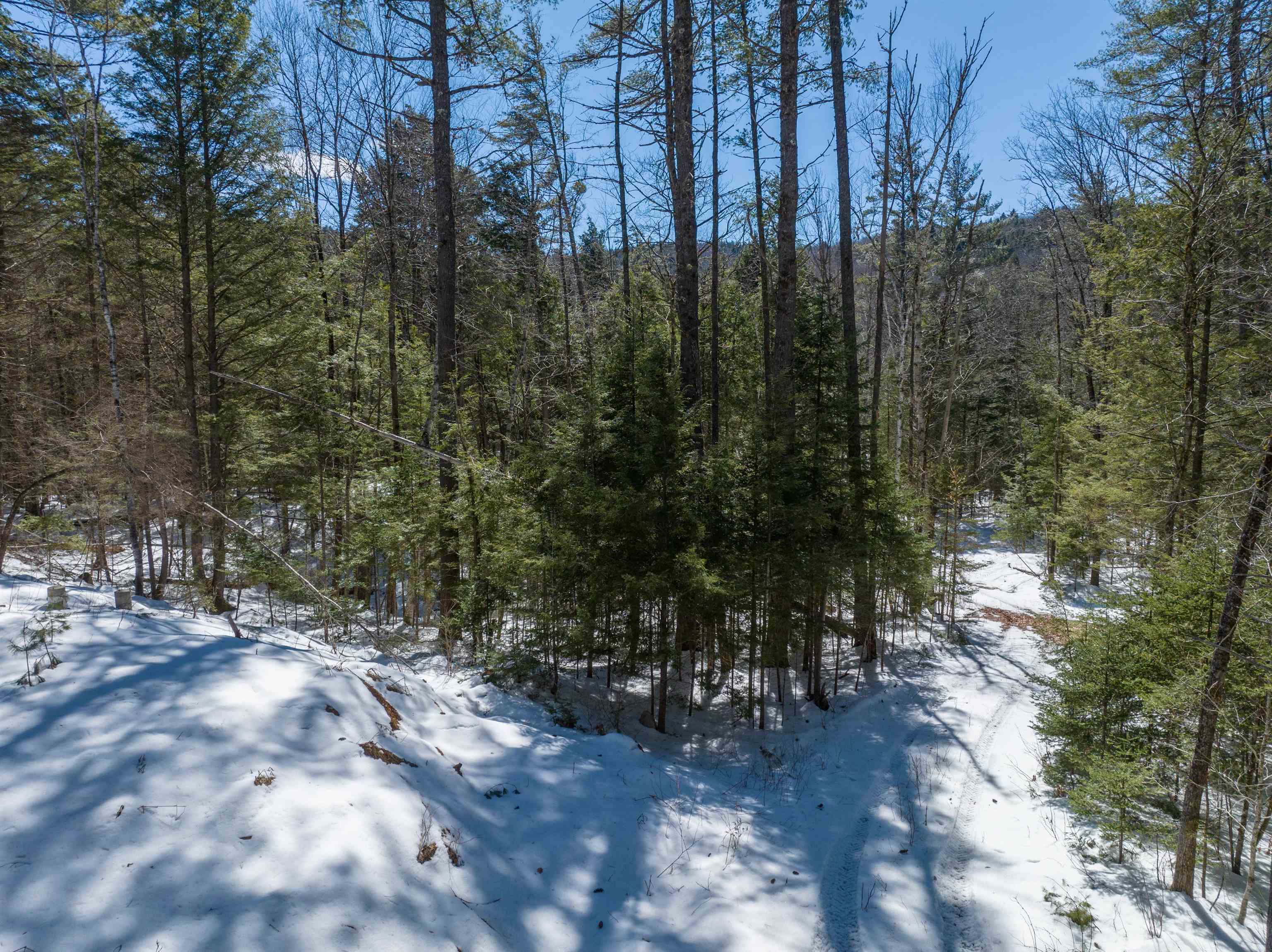 Lot 34-35 Ford Mill Road Danbury, NH 03230 - Photo 14 of 30 Gallery Image 14