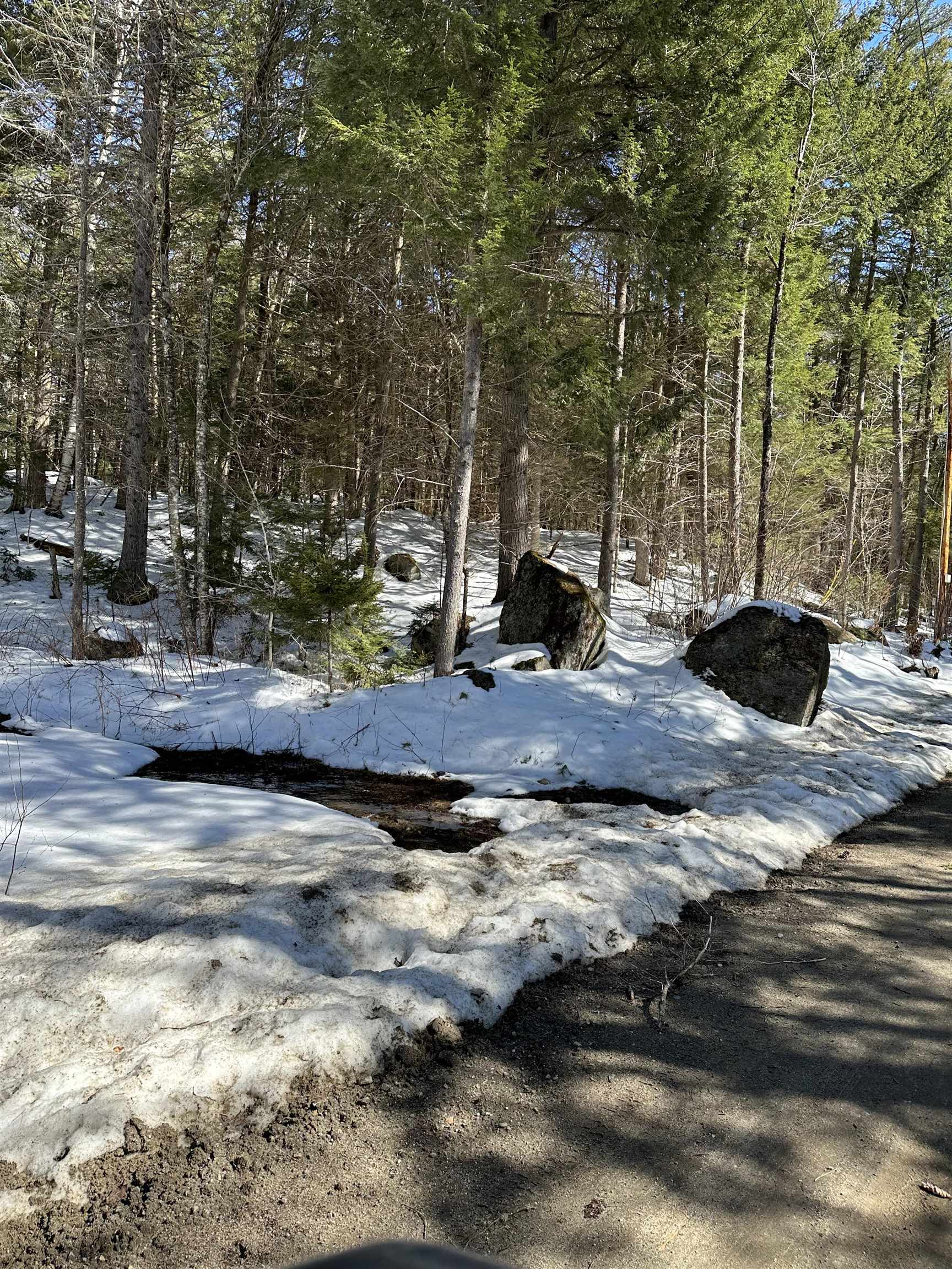 Lot 34-35 Ford Mill Road Danbury, NH 03230 - Photo 23 of 30 Gallery Image 23