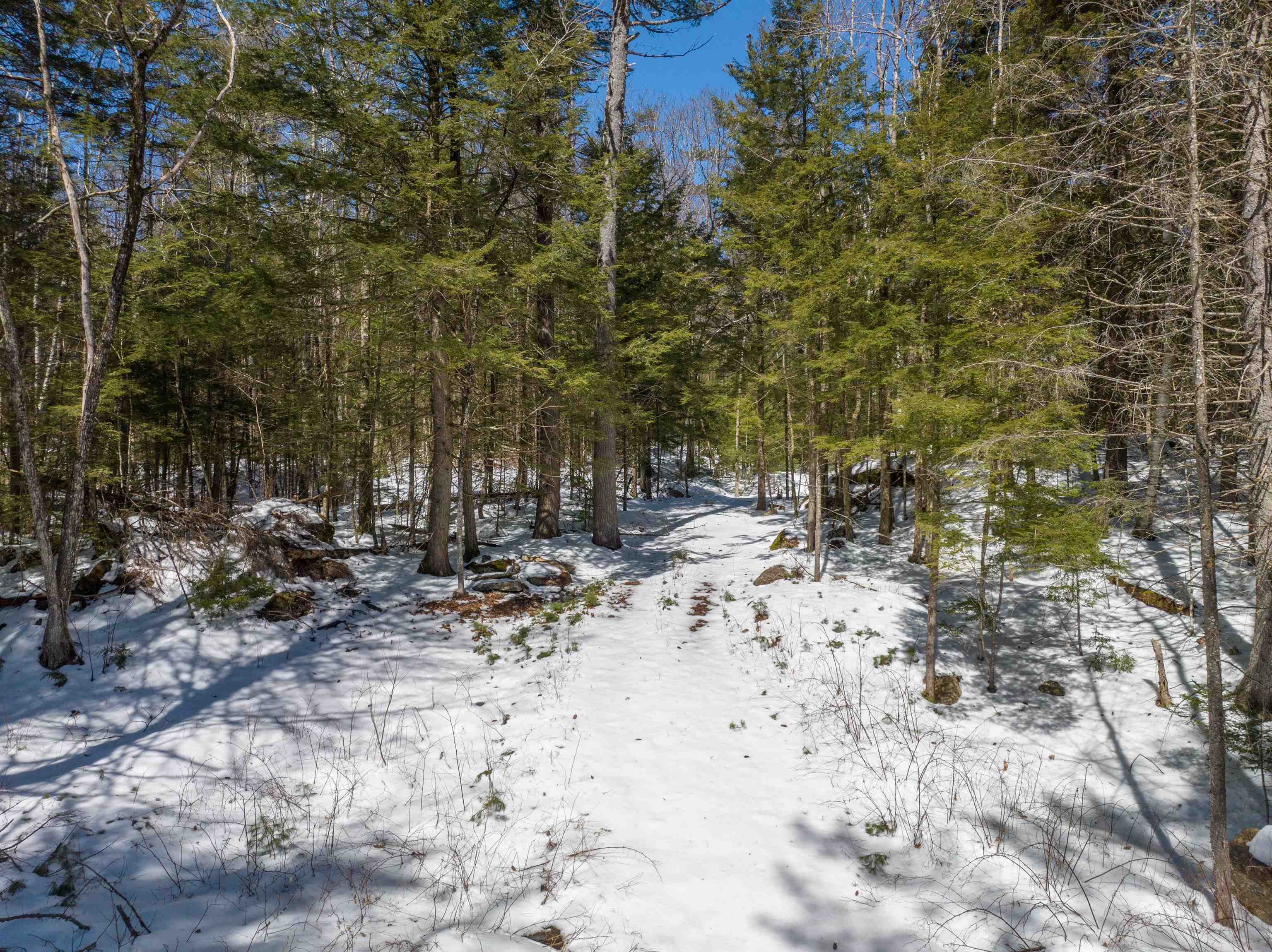 Lot 34-35 Ford Mill Road Danbury, NH 03230 - Photo 24 of 30 Gallery Image 24