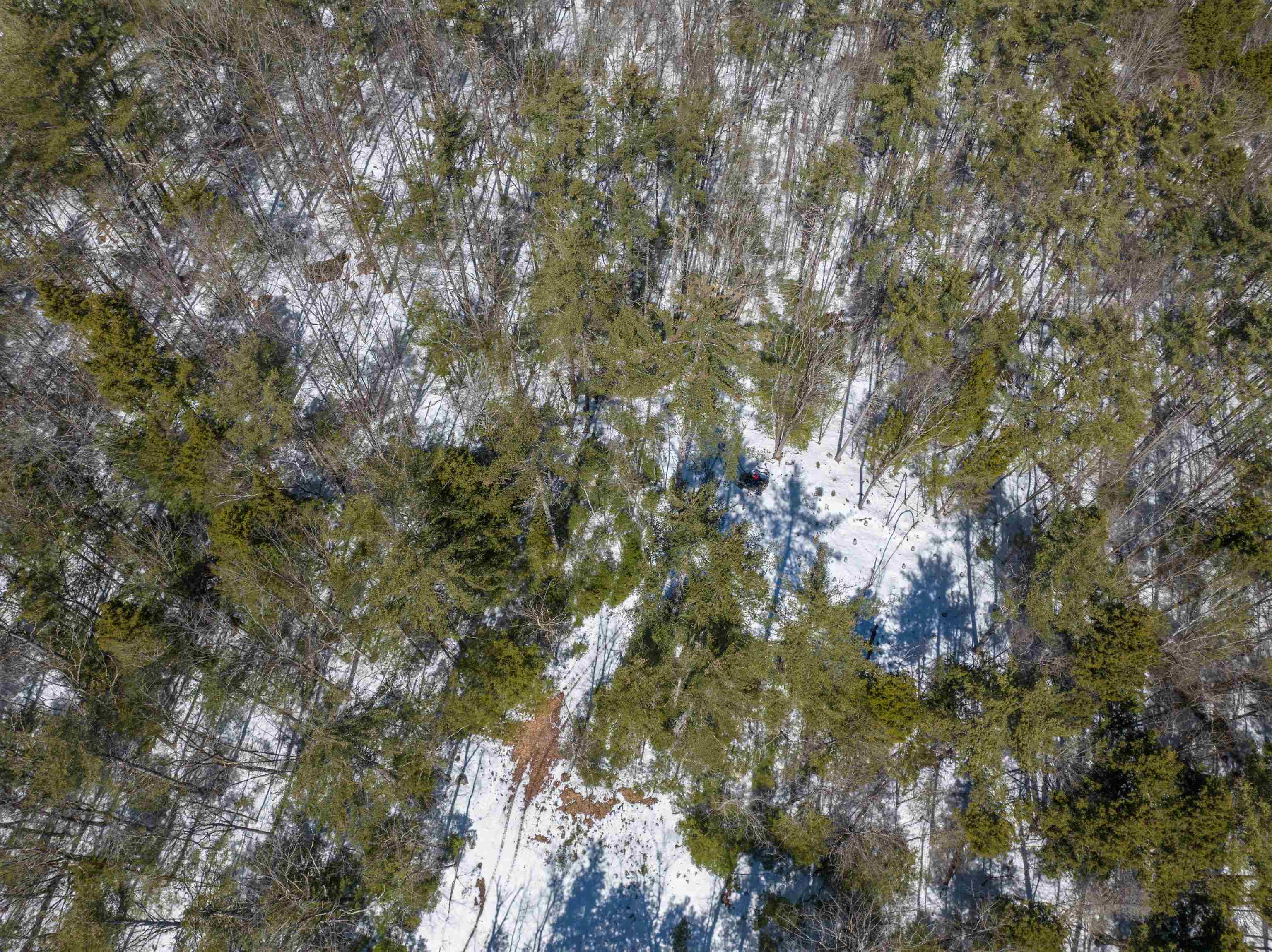 Lot 34-35 Ford Mill Road Danbury, NH 03230 - Photo 29 of 30 Gallery Image 29