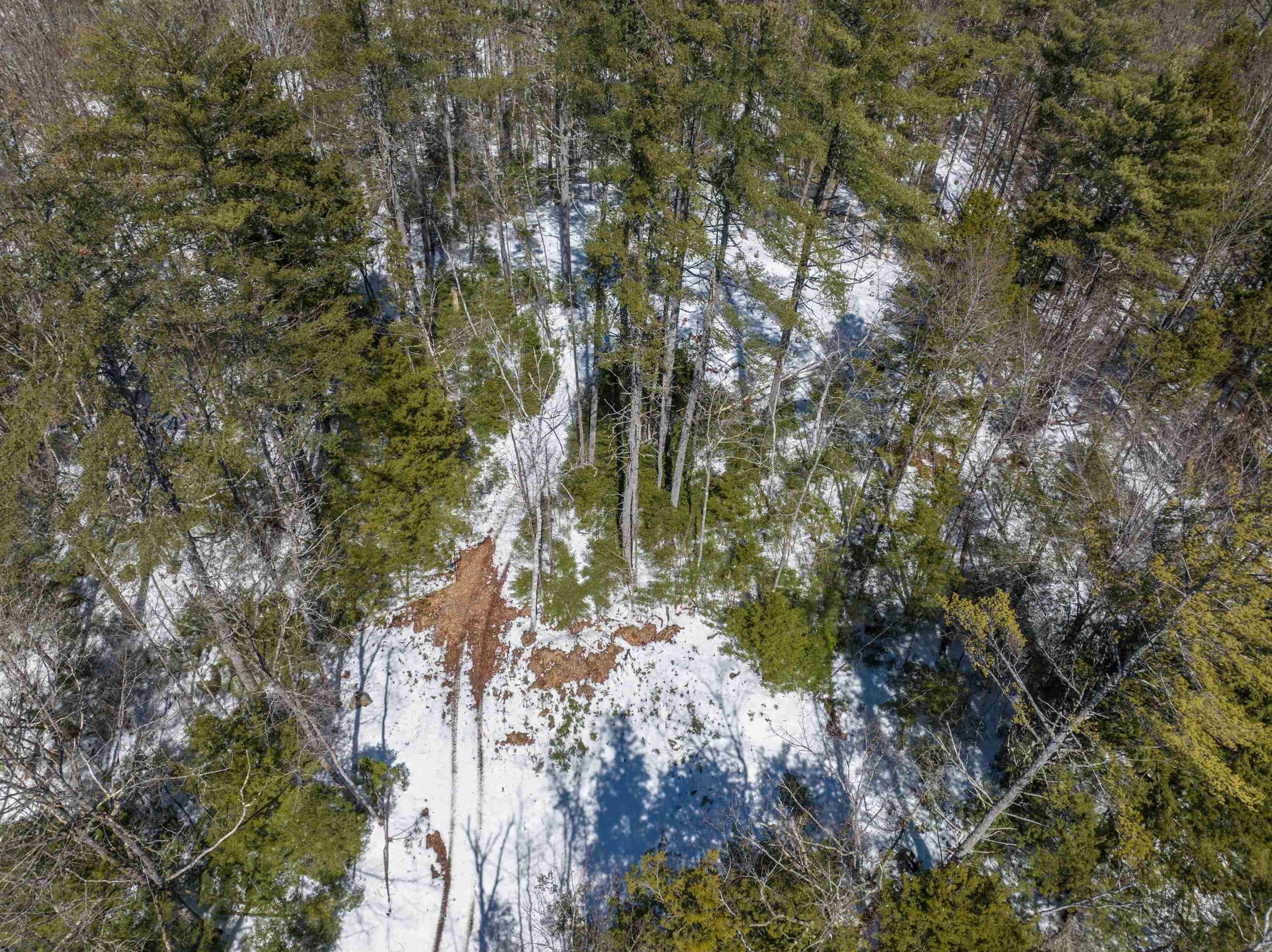 Lot 34-35 Ford Mill Road Danbury, NH 03230 - Photo 8 of 30 Gallery Image 8