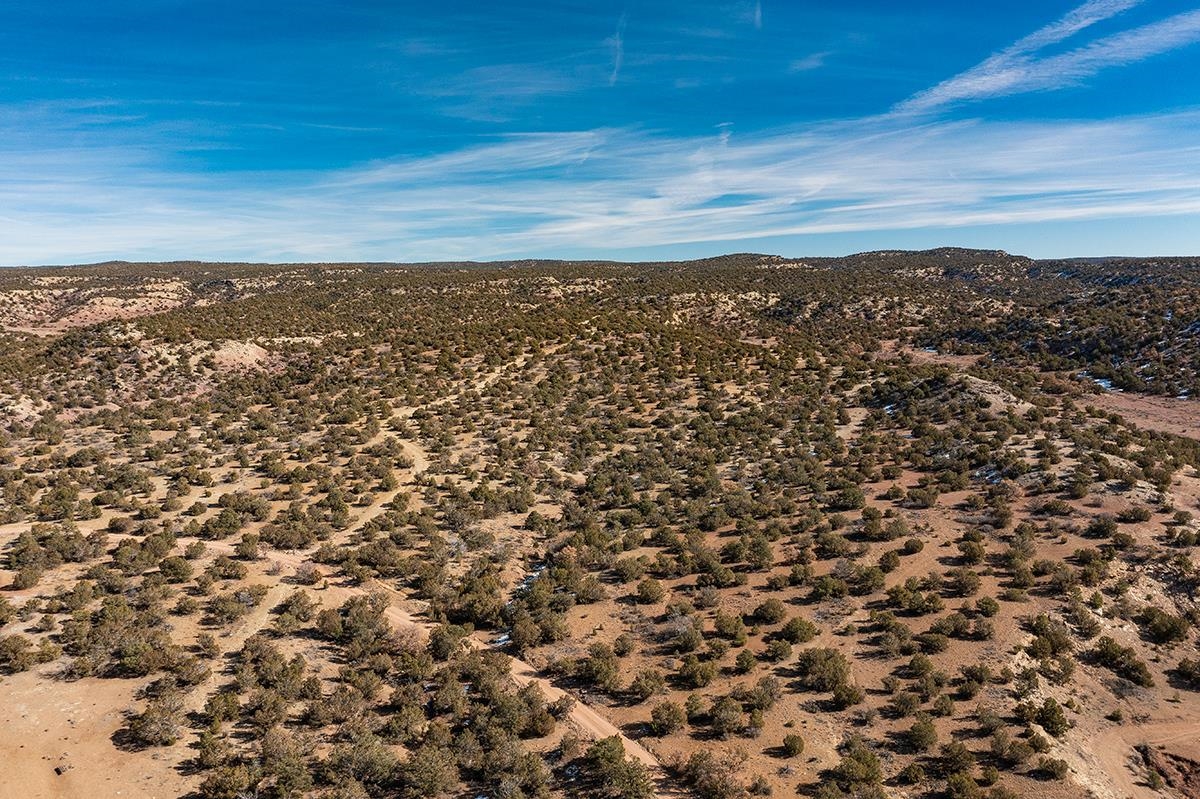 210 River Bank Road Lamy, NM 87540 - Photo 46 of 49