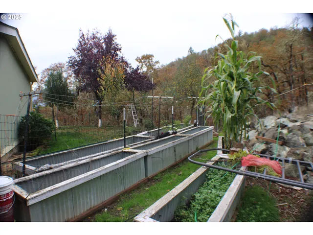 a view of backyard with a tub and trees