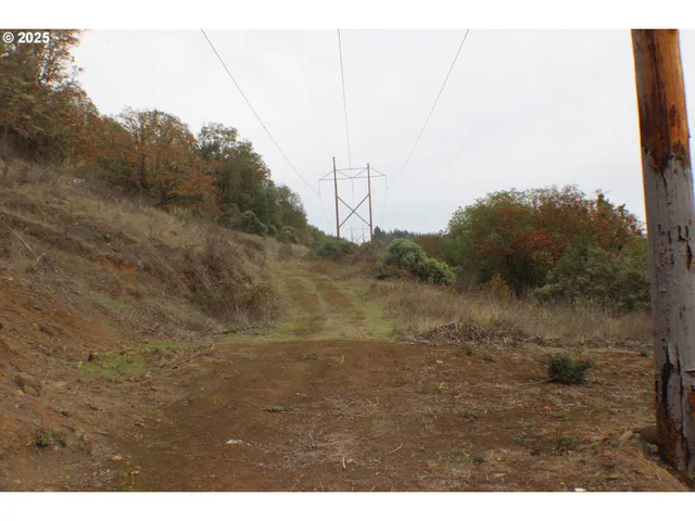 a view of a dry yard with trees in the background