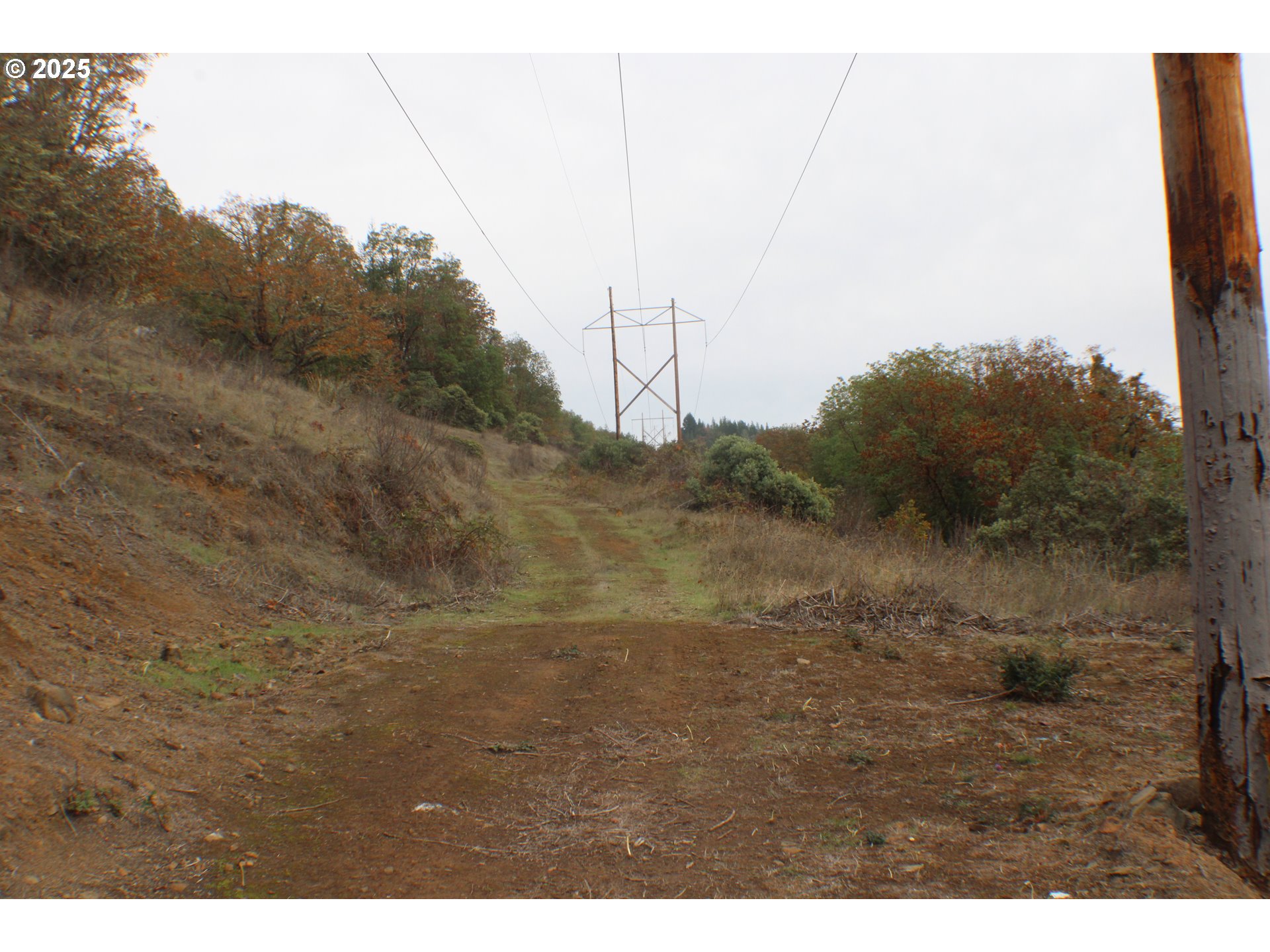 1320 Shoestring Road Riddle, OR 97469 - Photo 42 of 48 a view of a dry yard with trees in the background