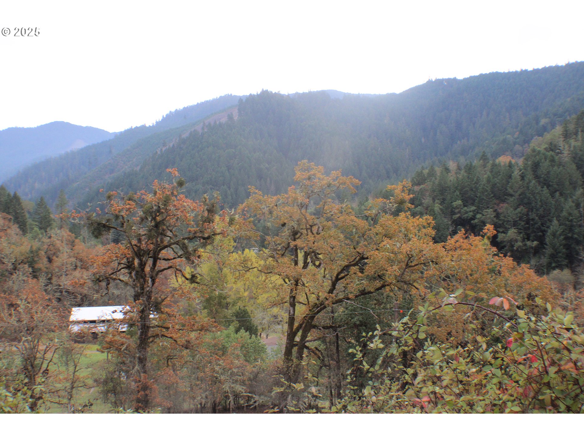 1320 Shoestring Road Riddle, OR 97469 - Photo 43 of 48 a view of a dry yard with mountains in the background