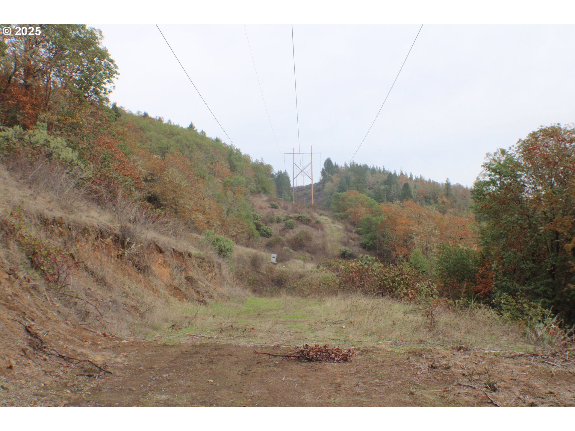 1320 Shoestring Road Riddle, OR 97469 - Photo 44 of 48 a view of a dry yard