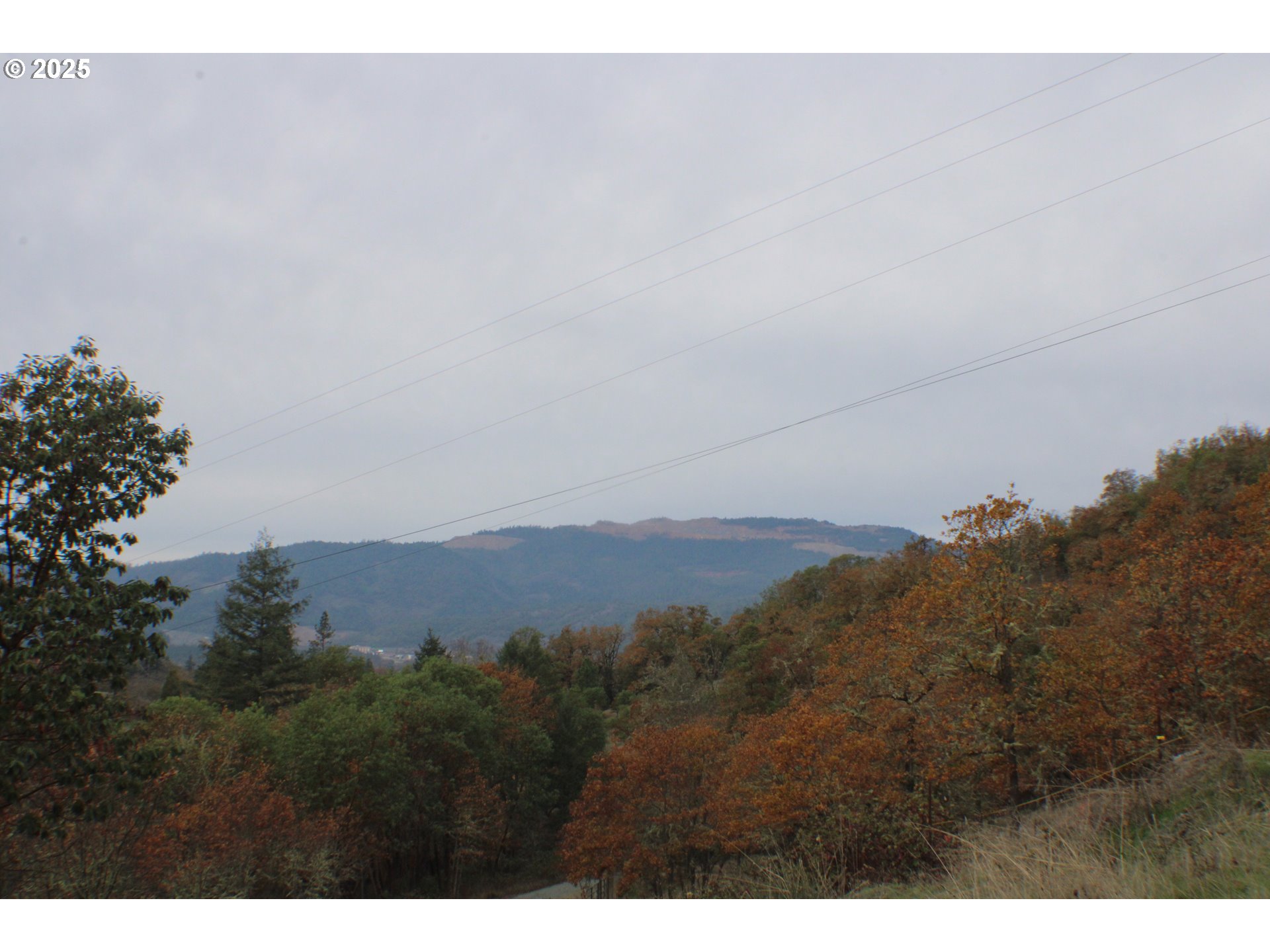 1320 Shoestring Road Riddle, OR 97469 - Photo 45 of 48 a view of a bunch of trees and bushes