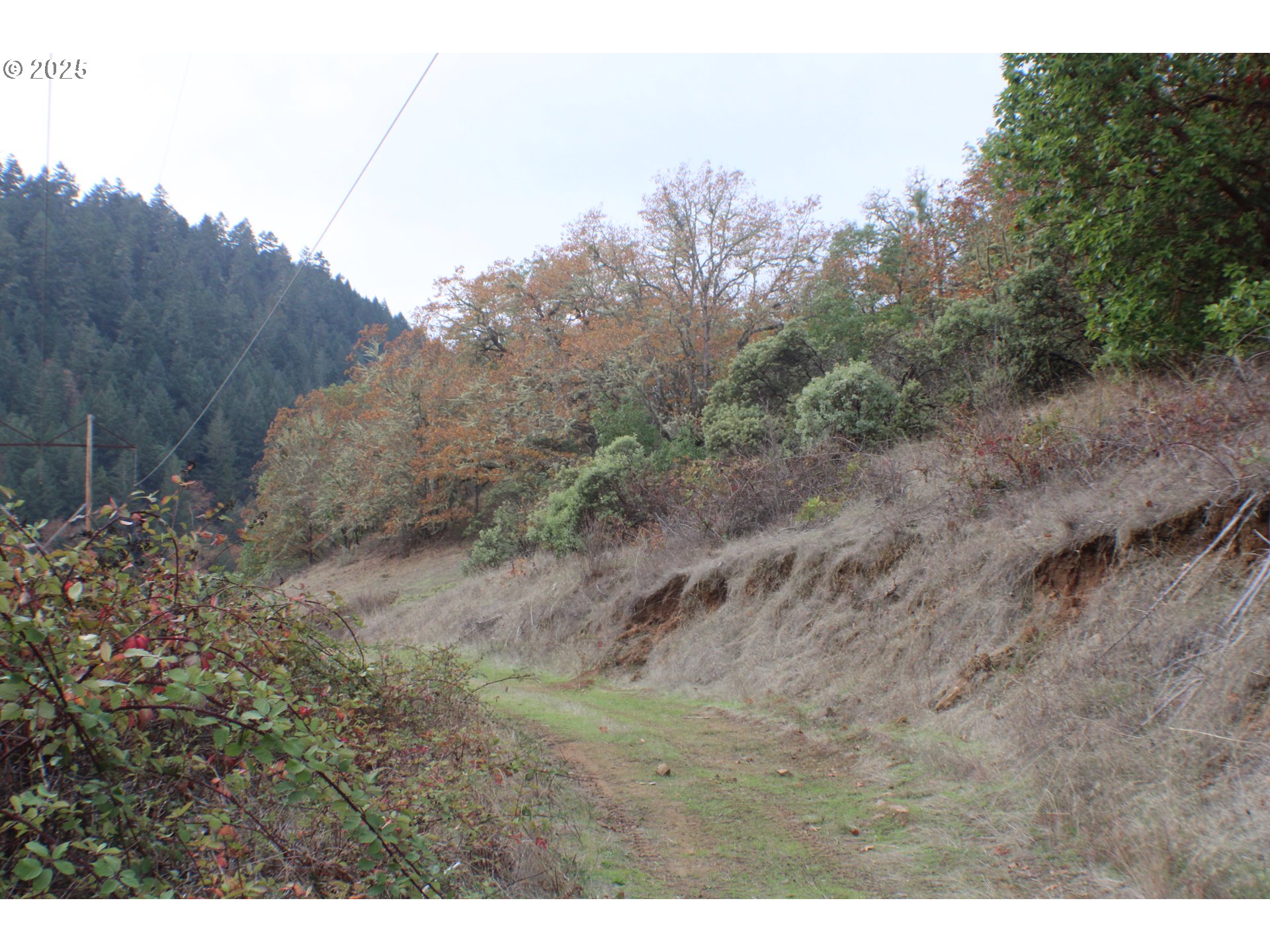 1320 Shoestring Road Riddle, OR 97469 - Photo 48 of 48 a view of a dry yard